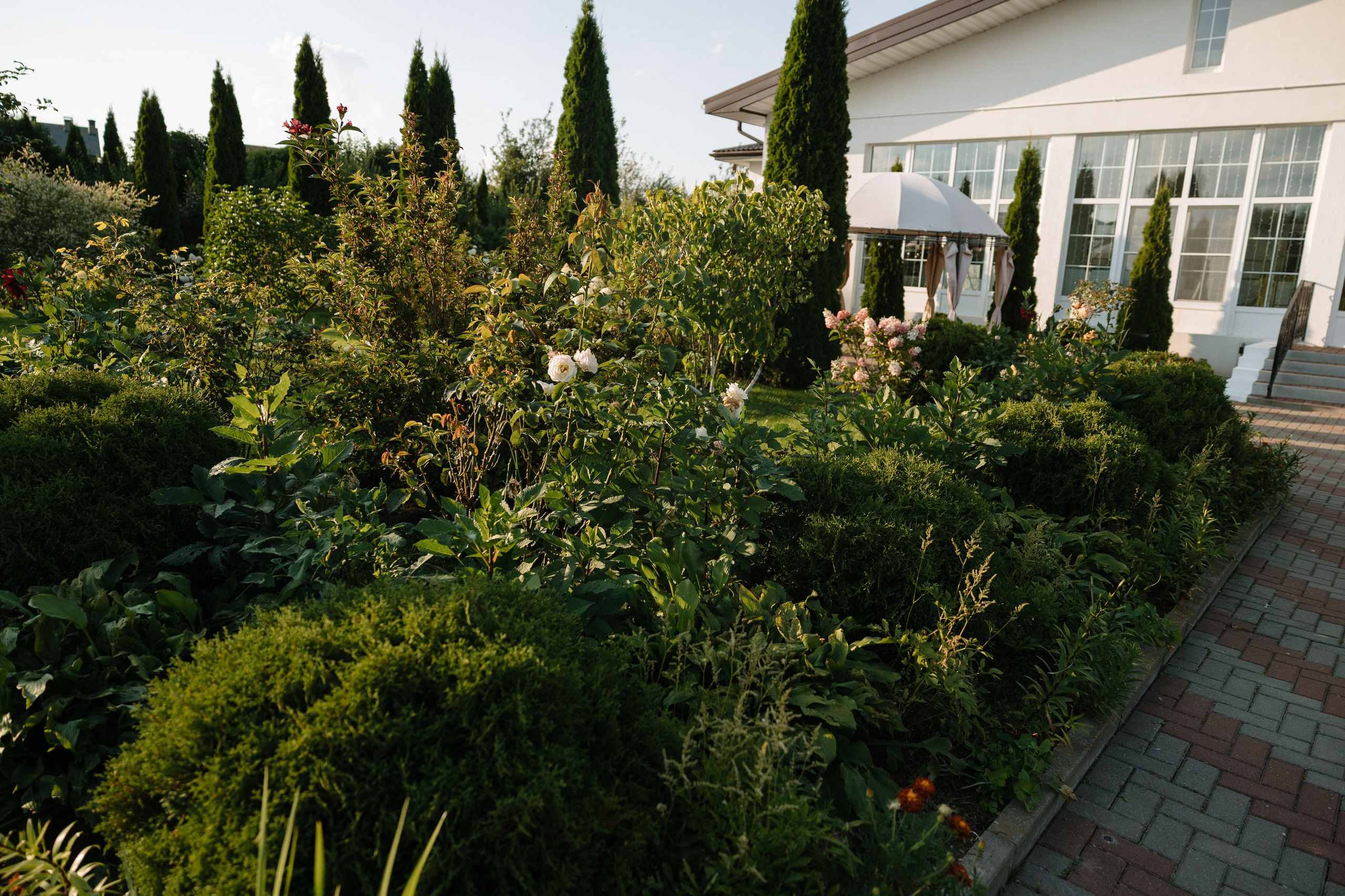 Даша&Вадим. Свадебный фотограф по всей Беларуси Цепелева Анна