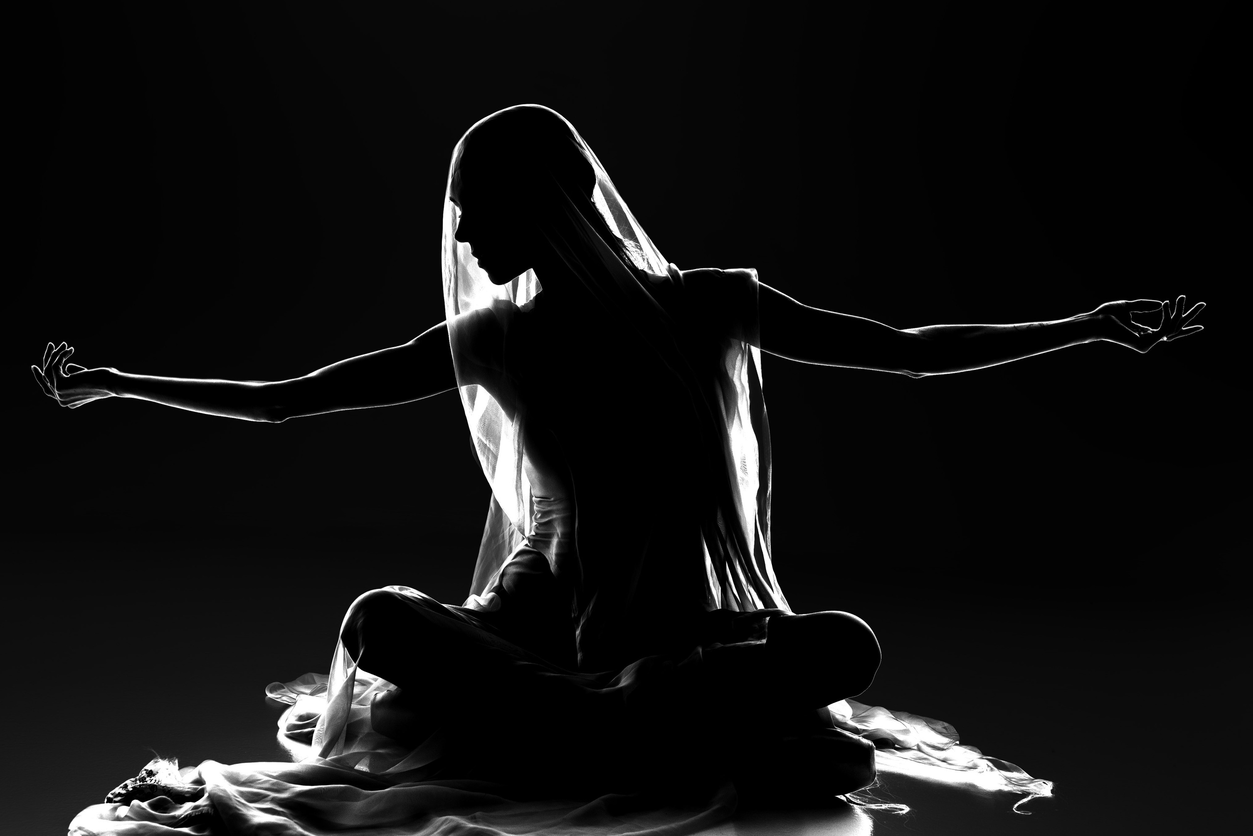 Искусство линии и света