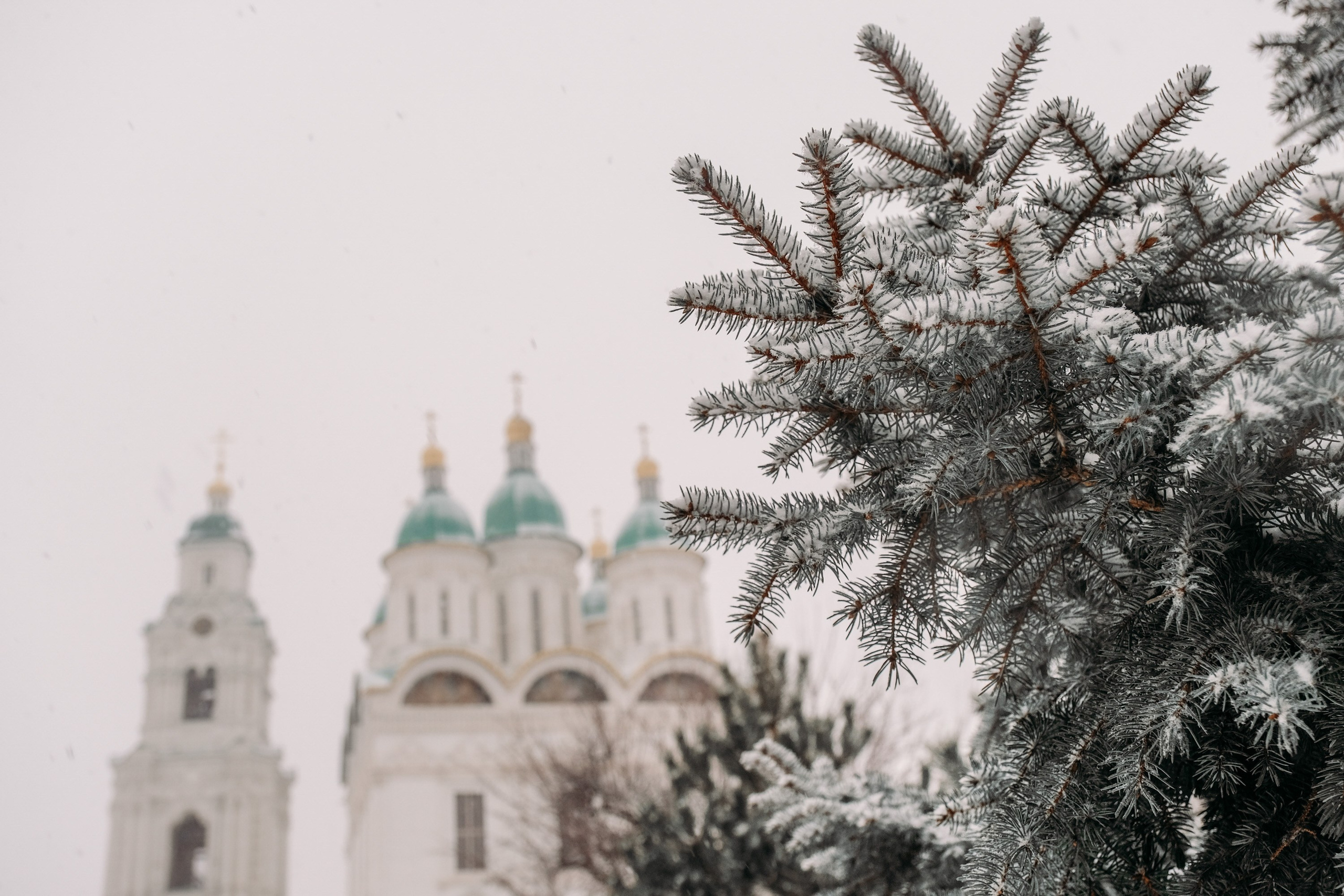 Снегопад. Фотограф Анатолий Деникин