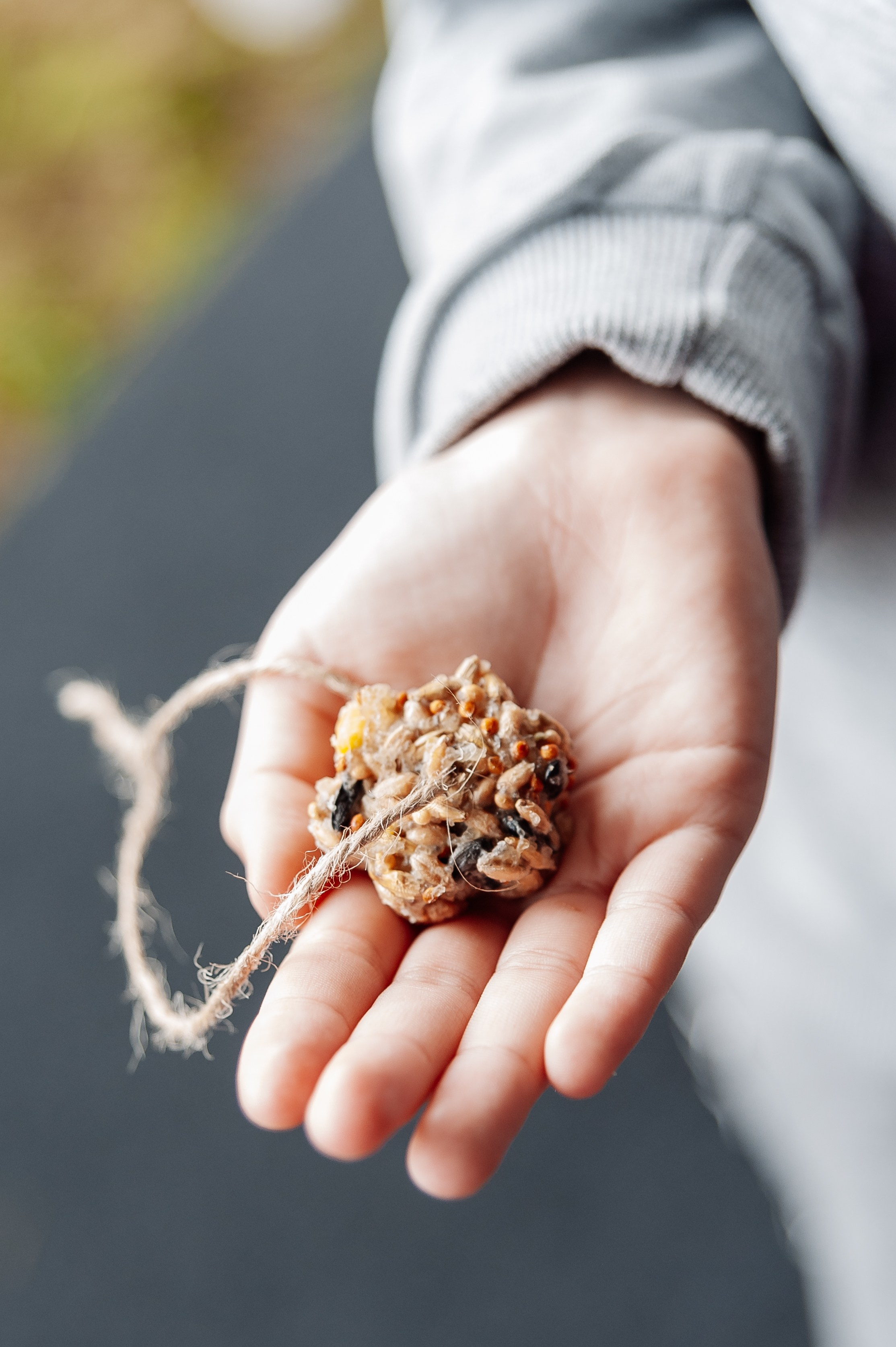 Семейный фестиваль. Свадебный и репортажный фотограф СПб