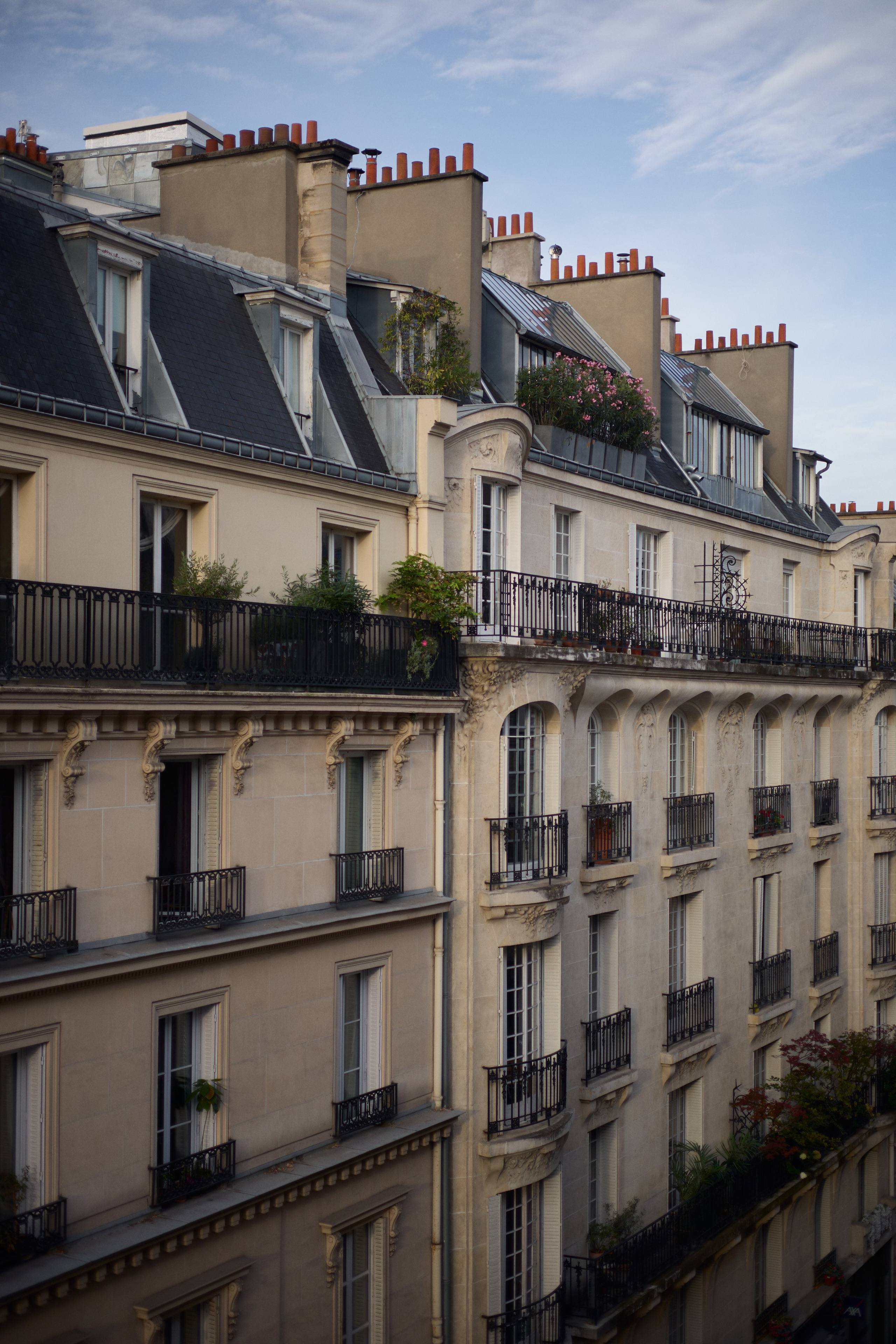 France (Provence & Paris) Sep'25. Анастасия Зобнинá — фотограф в Санкт-Петербурге/СПб