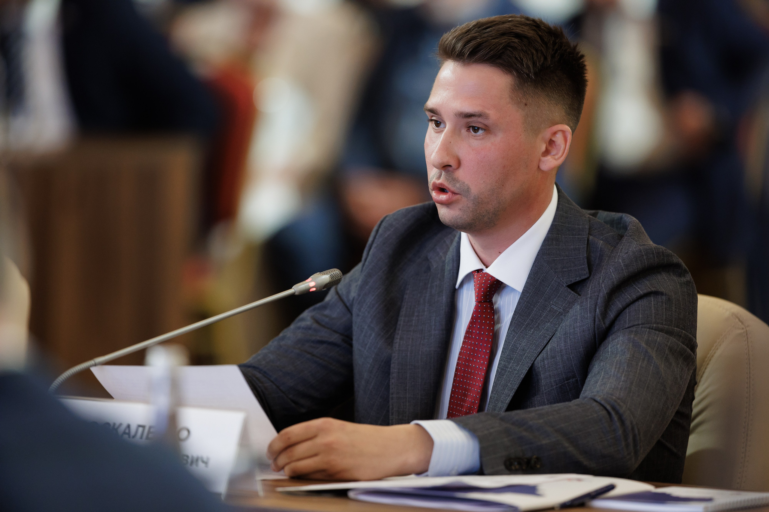 Совет Законодателей ПФО. РЕПОРТАЖНЫЙ ФОТОГРАФ СОЧИ СЕРГЕЙ КАНАДА