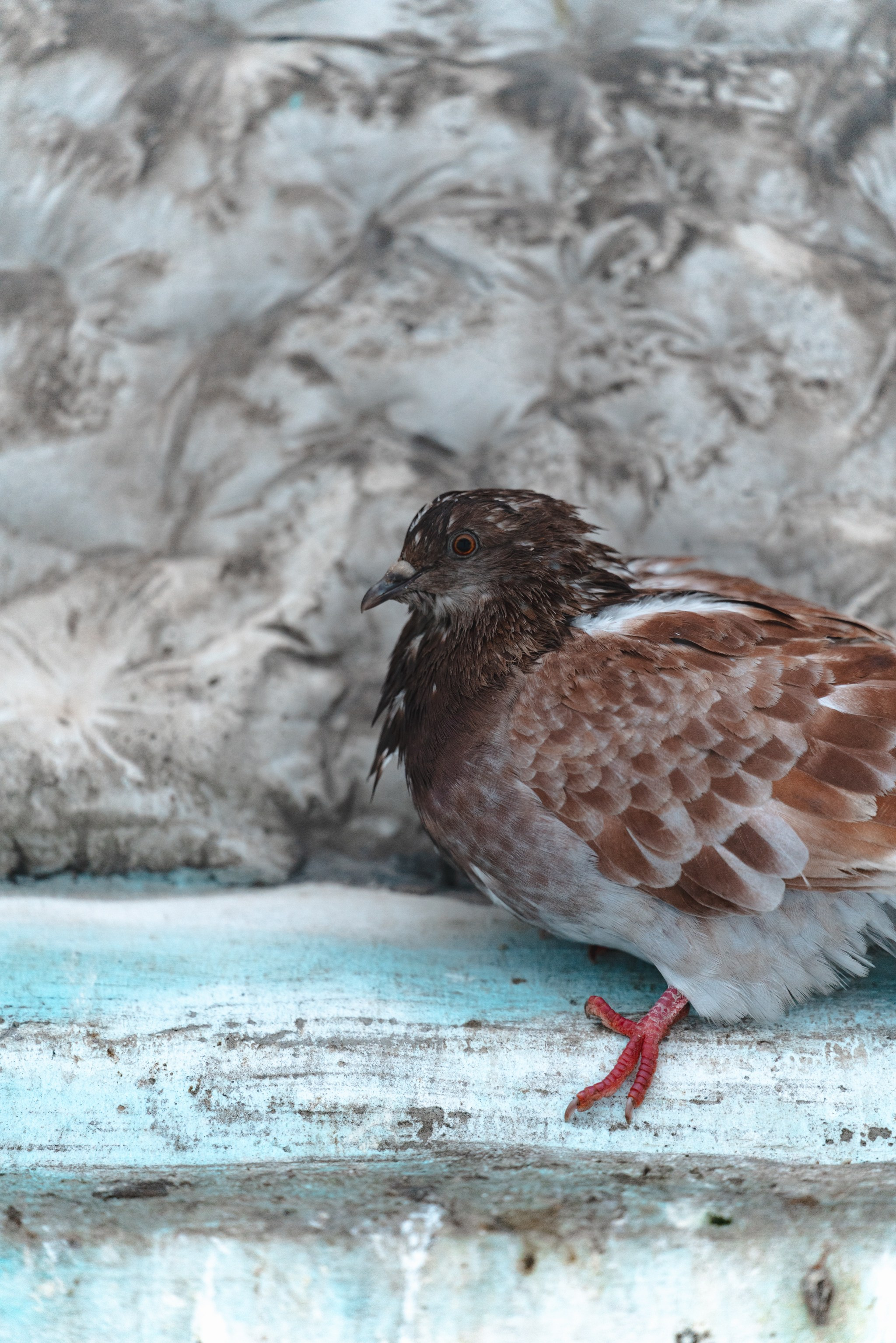 Воркута, Октябрь 2024