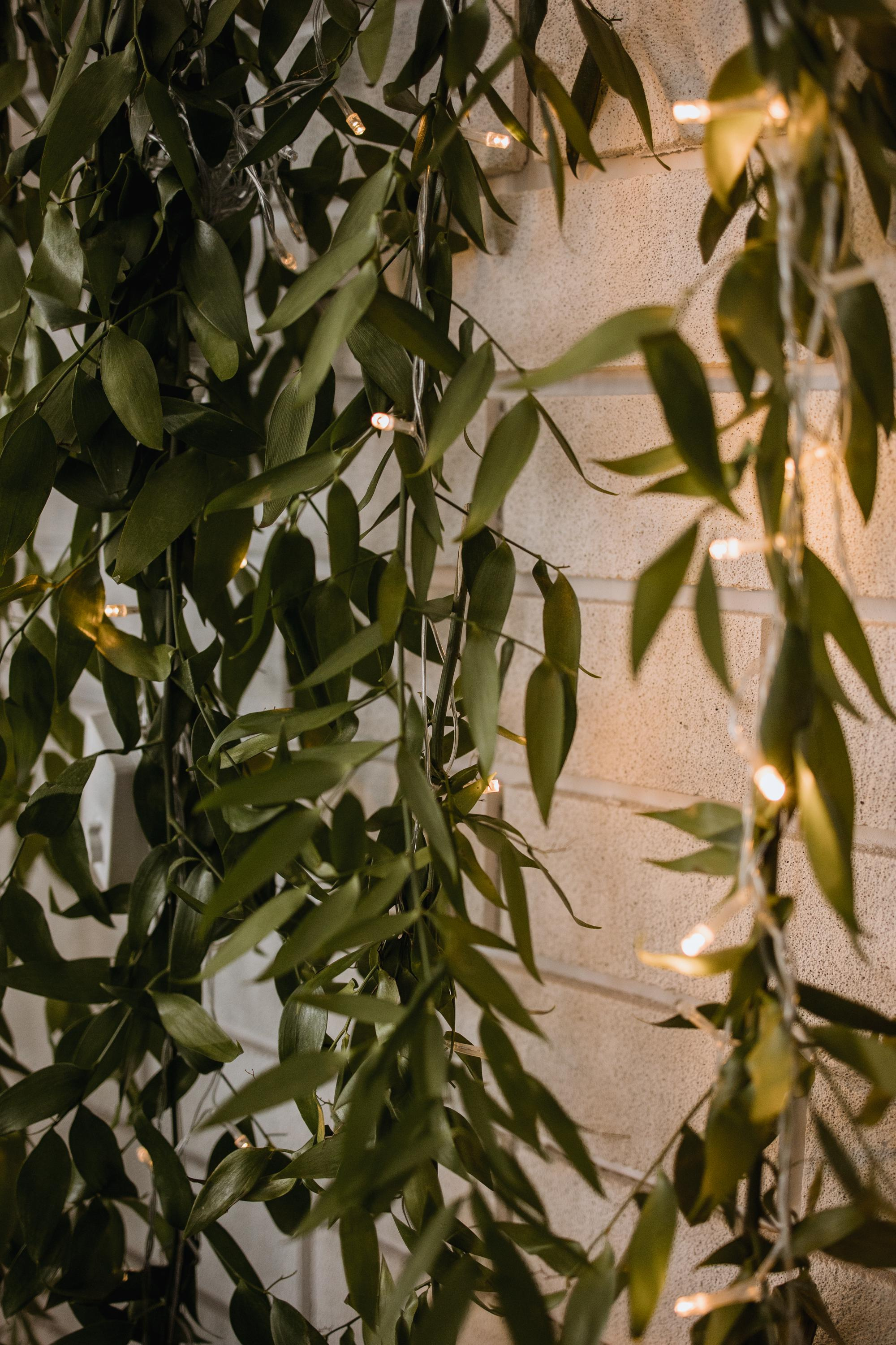 Apriori Married. Репортажный и свадебный фотограф в Москве Лена Таращенко