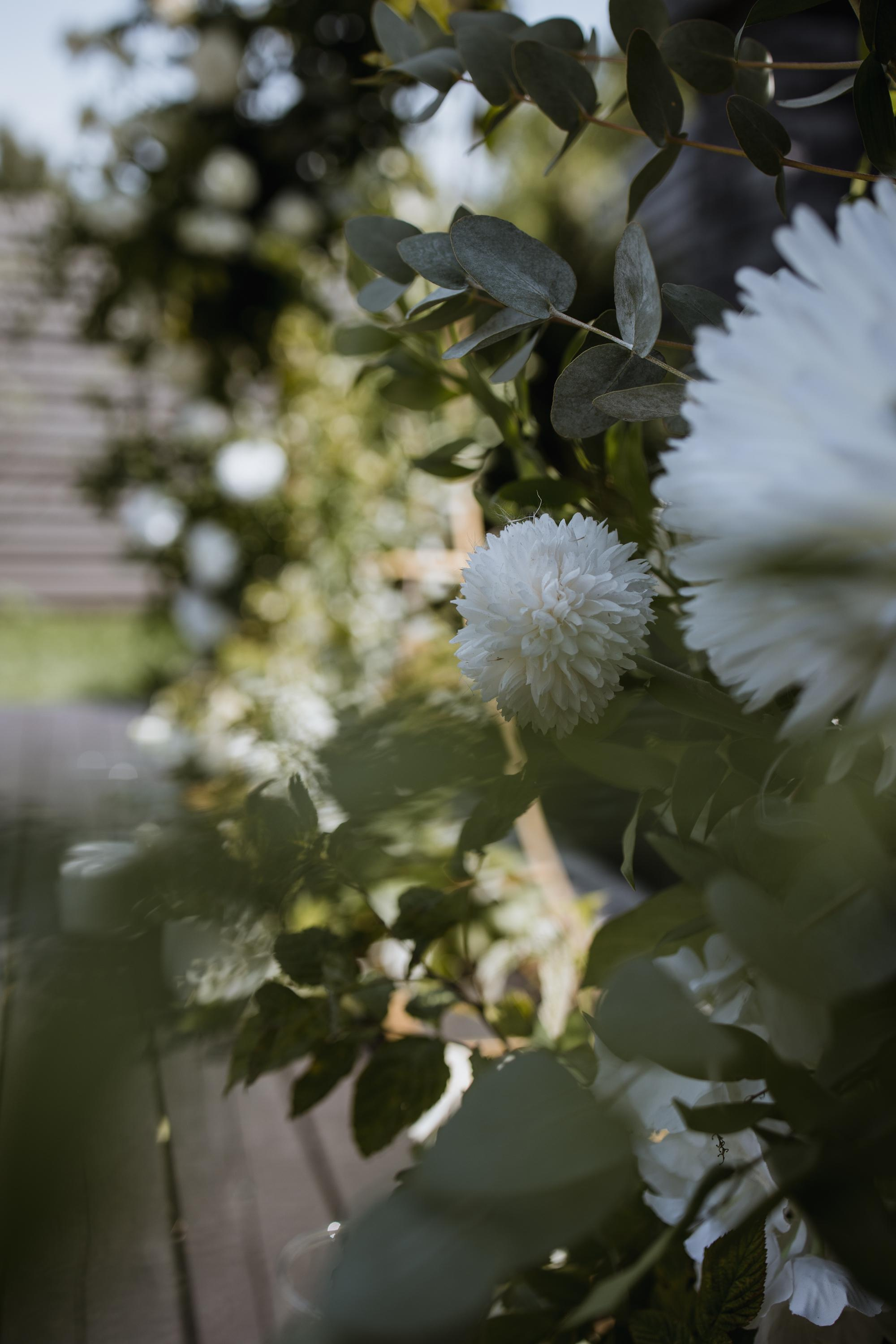 Apriori Married. Репортажный и свадебный фотограф в Москве Лена Таращенко