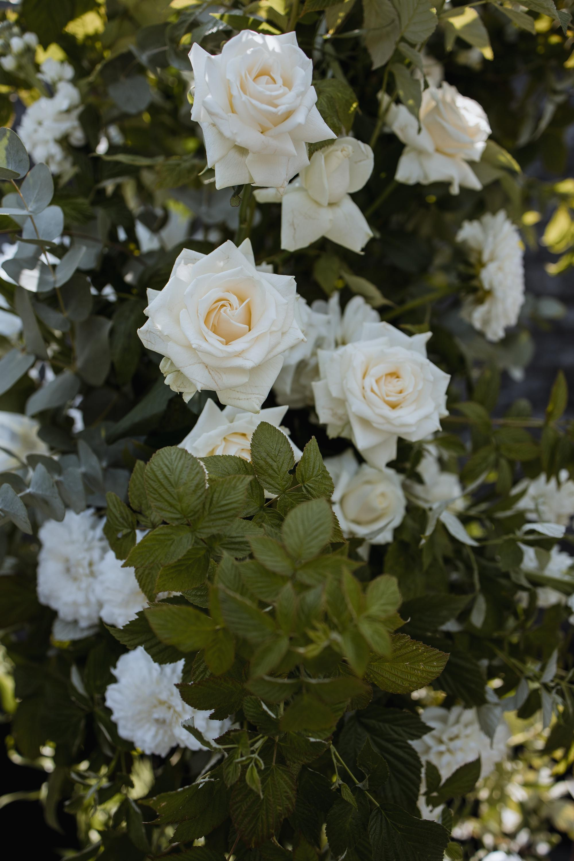 Apriori Married. Репортажный и свадебный фотограф в Москве Лена Таращенко