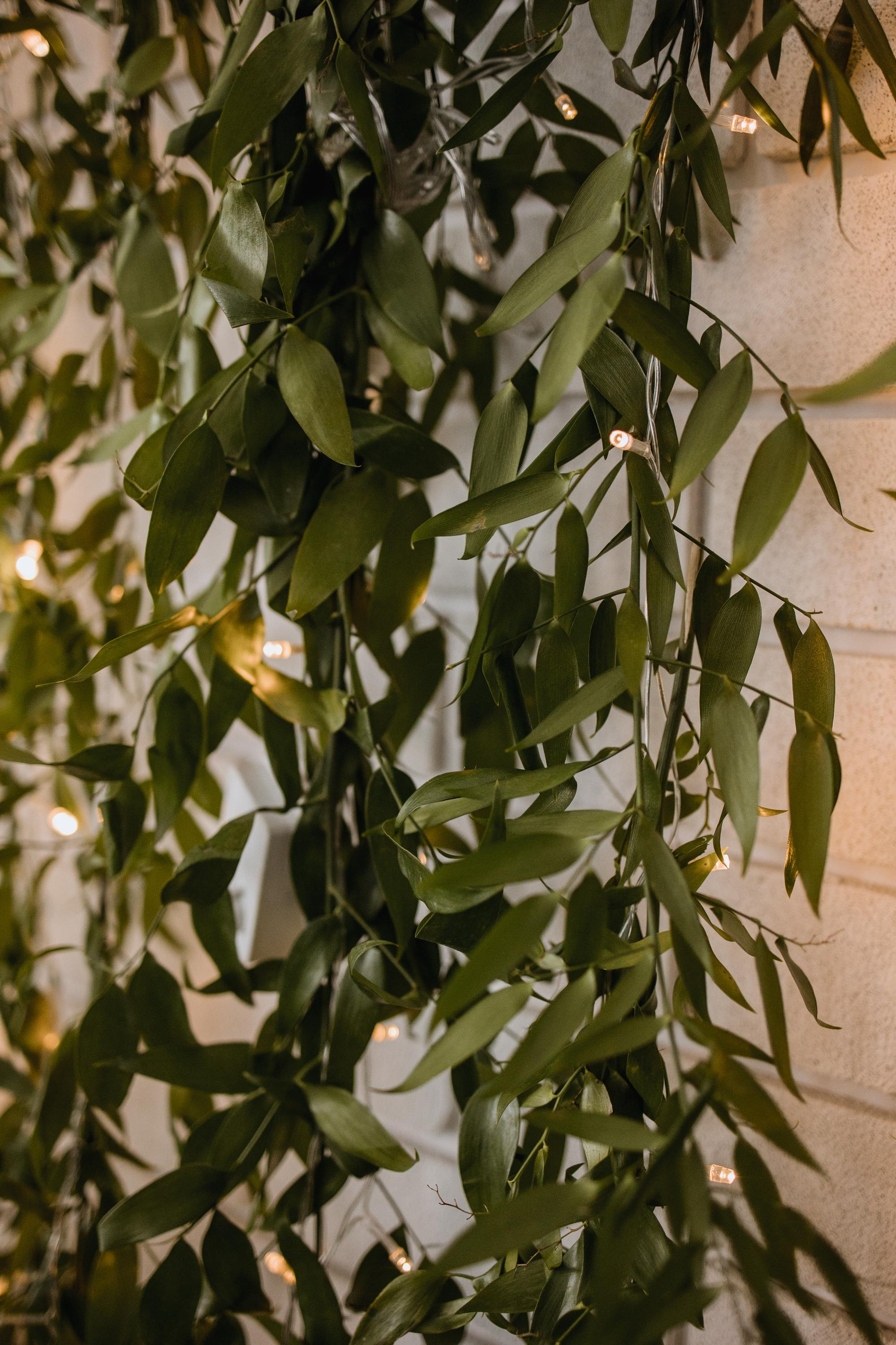 Apriori Married. Репортажный и свадебный фотограф в Москве Лена Таращенко