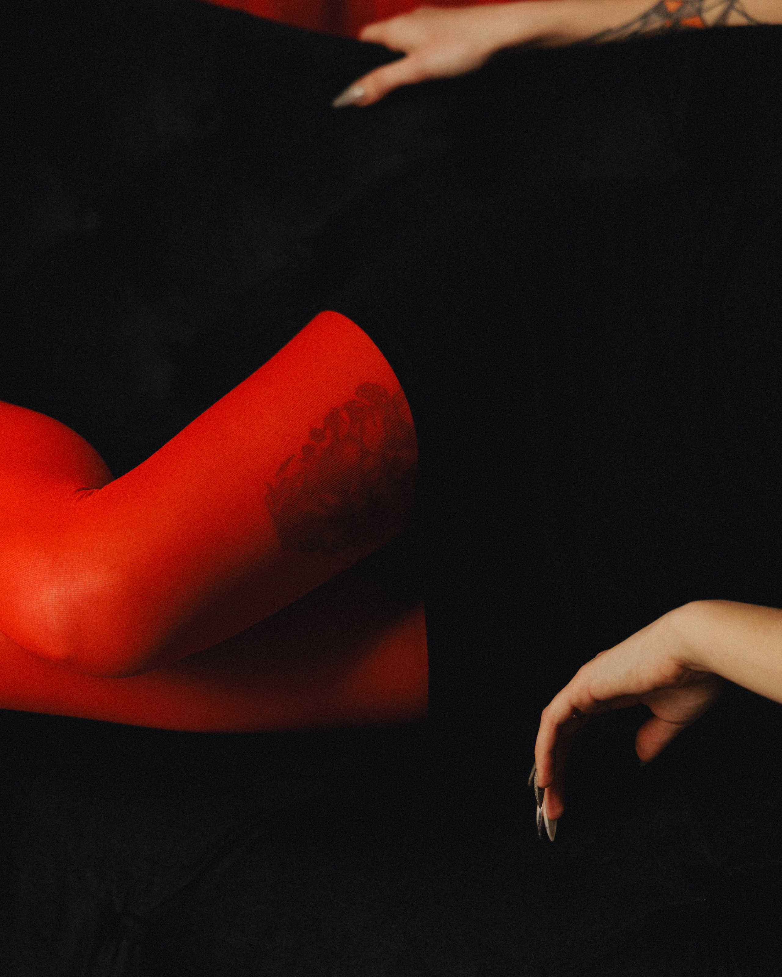 Red Fox. Свадебный фотограф в Москве Дмитрий Левин