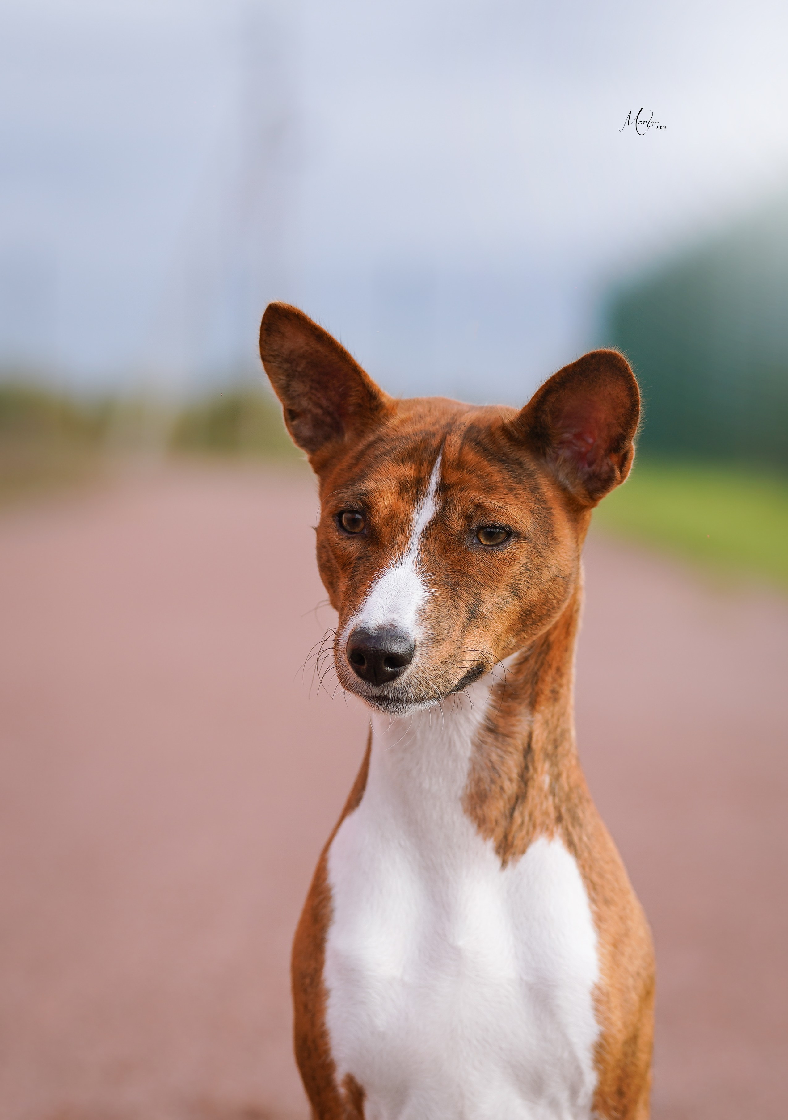 Выставки 2023. Фотограф-анималист в Санкт-Петербурге Яна Мартынова