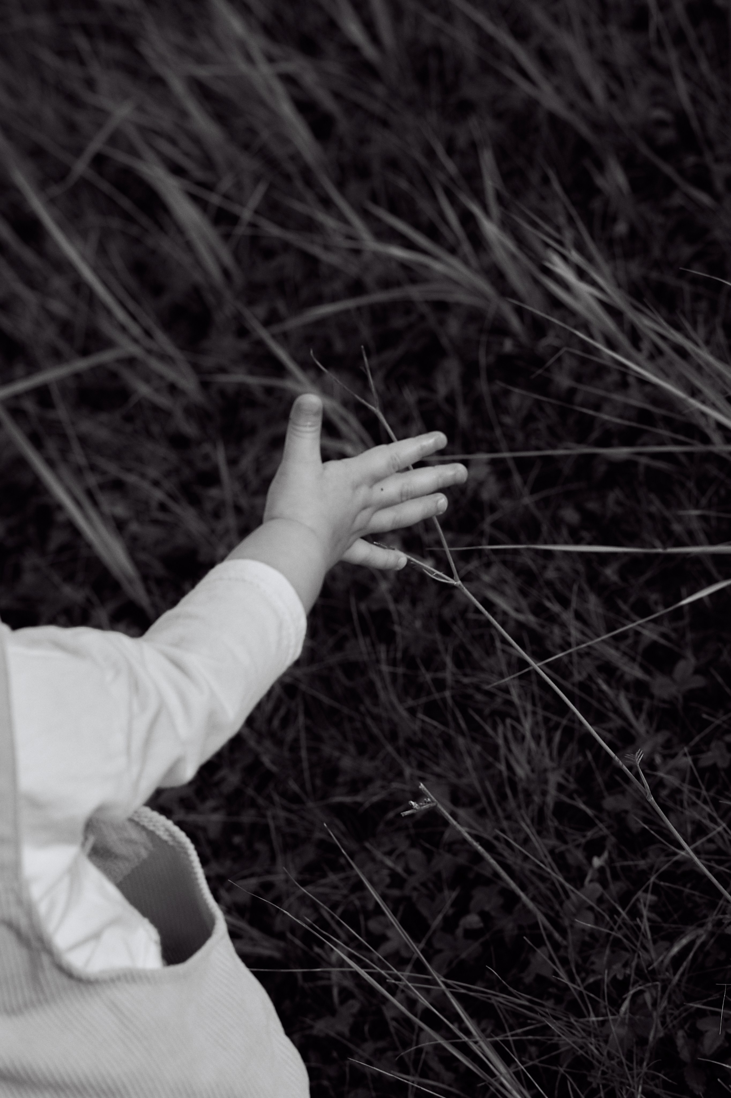 Шамиль, Аня и Марс в поле с барашками. Семейный и свадебный lifestyle-фотограф в Москве Мария Петрова