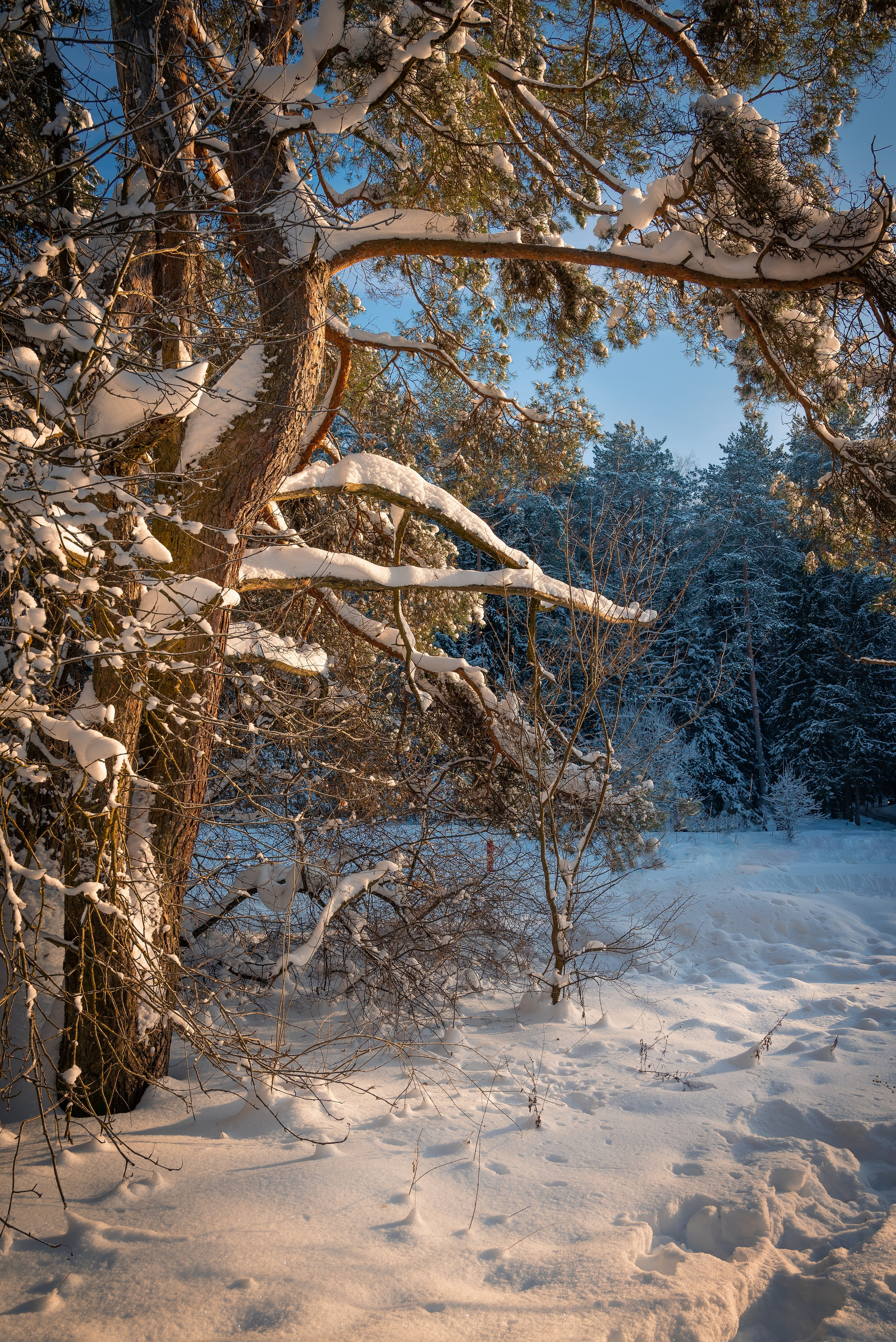 Места. Фотограф в Минске Дарья Кончакова
