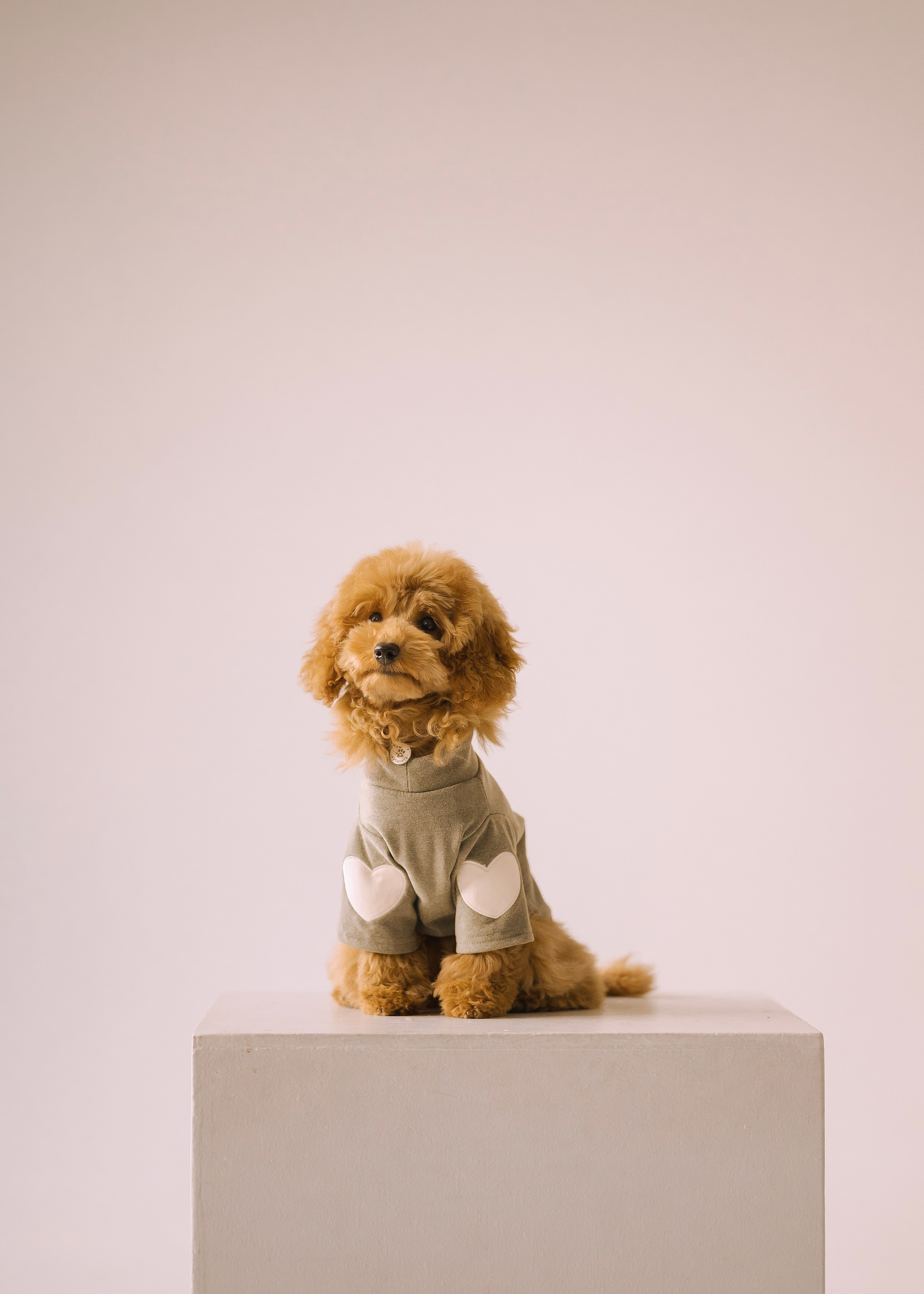 Утилита. Фотограф- анималист Александра Матвеева