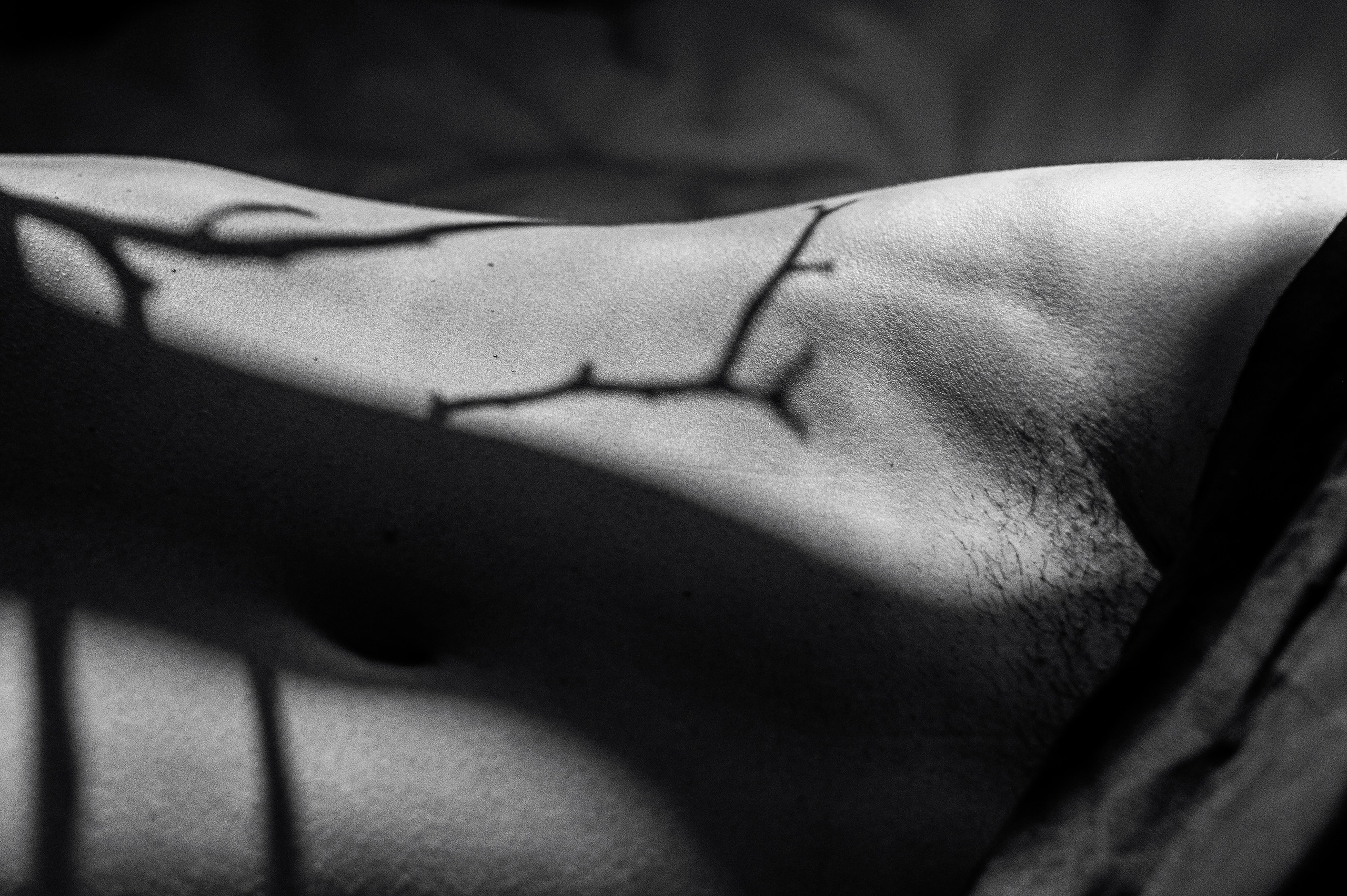 Алексей. Сергей Виноградов фотограф Россия Санкт-Петербург