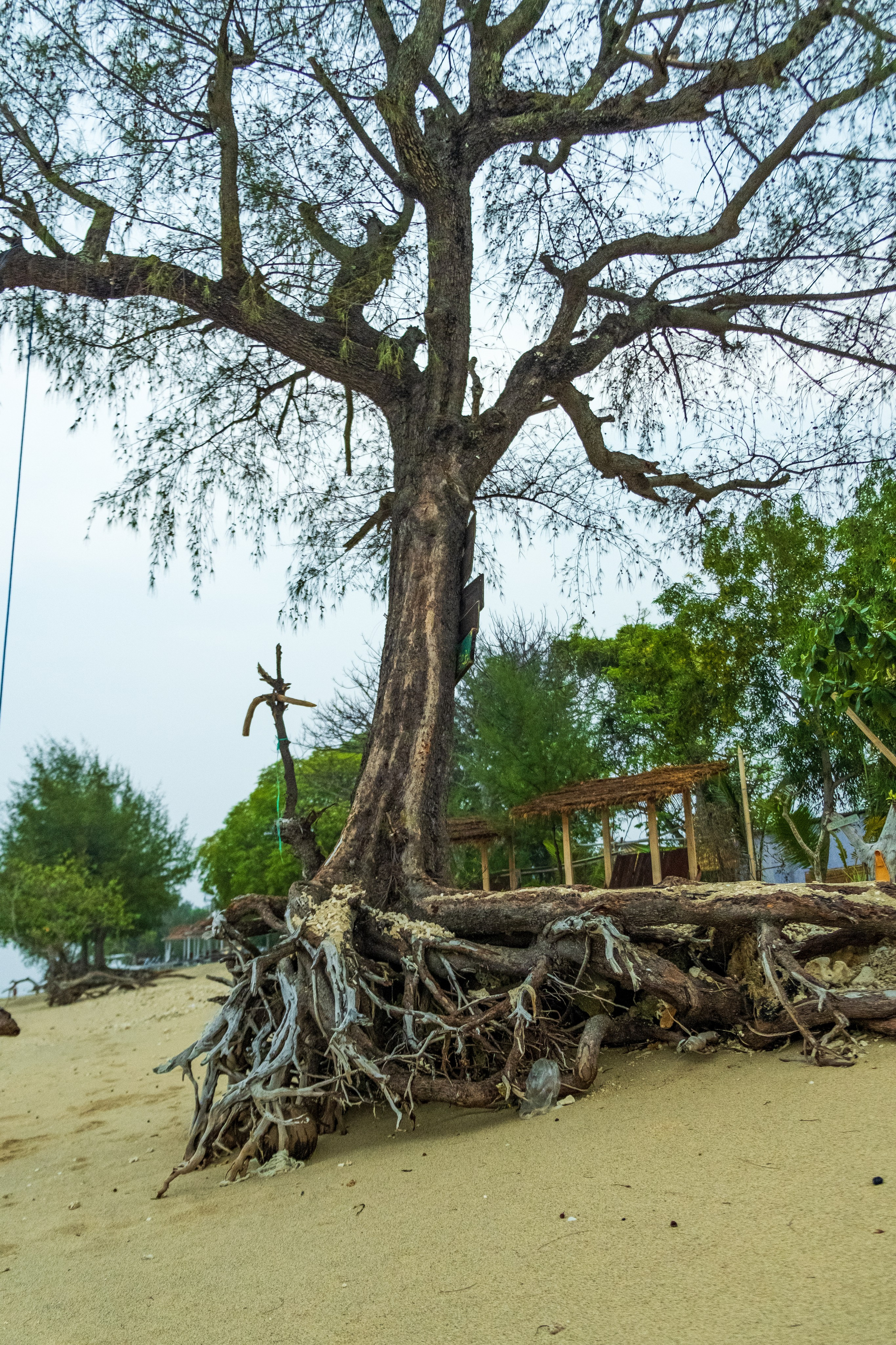 Остров Гили Эйр. Фотографии из путешествий
