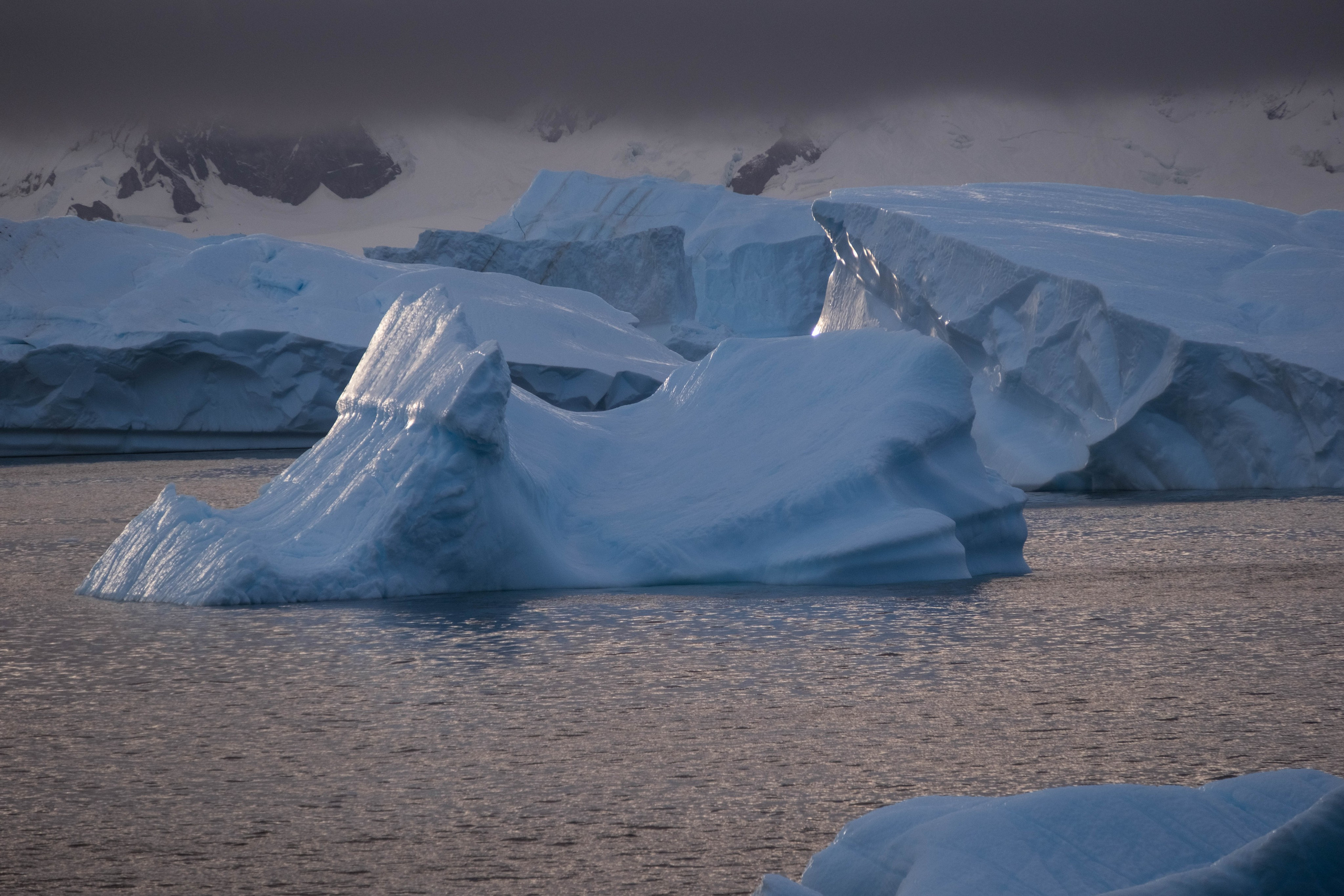 Материк и льды. Фотографии из путешествий