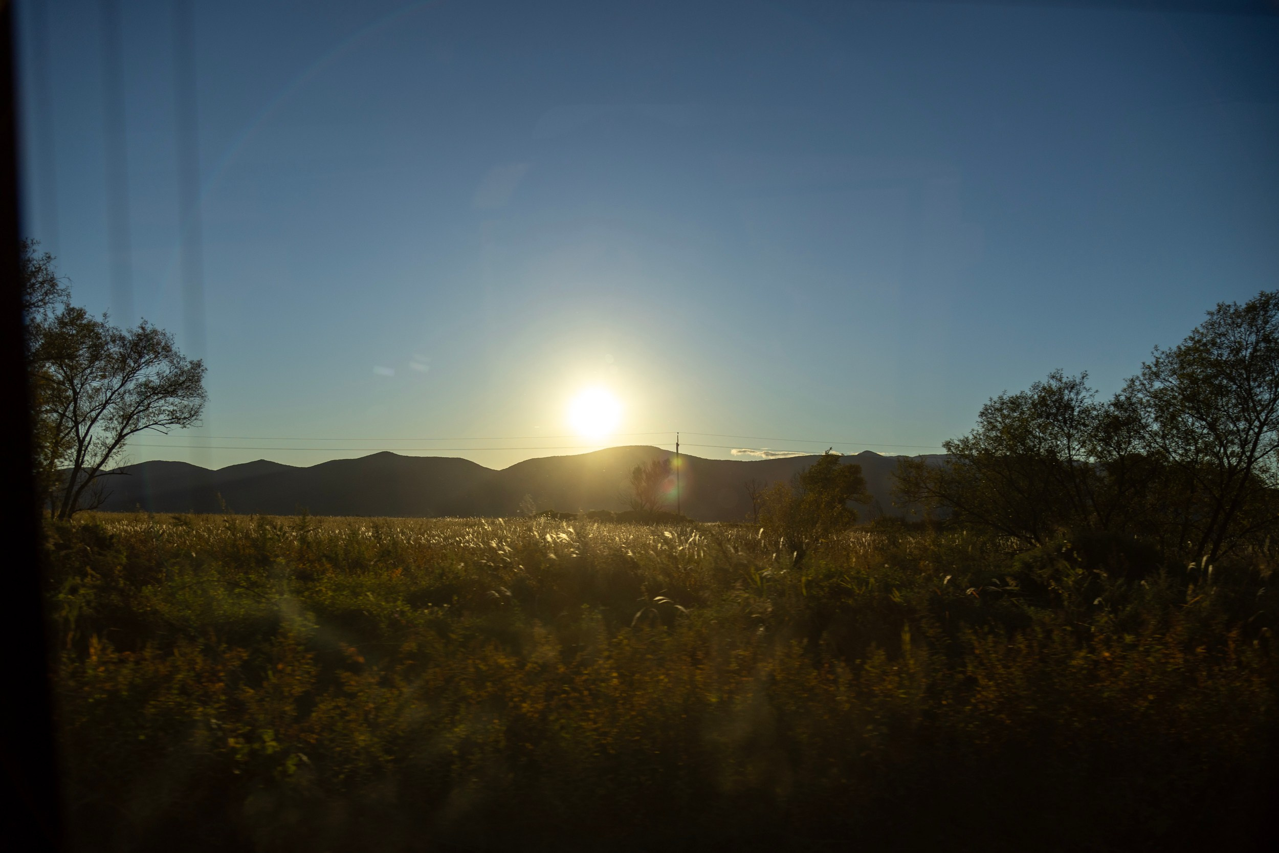 Фестиваль «Большой пикник», репортаж для ASAP Speedcubing. Репортажный и портретный фотограф в Владивостоке