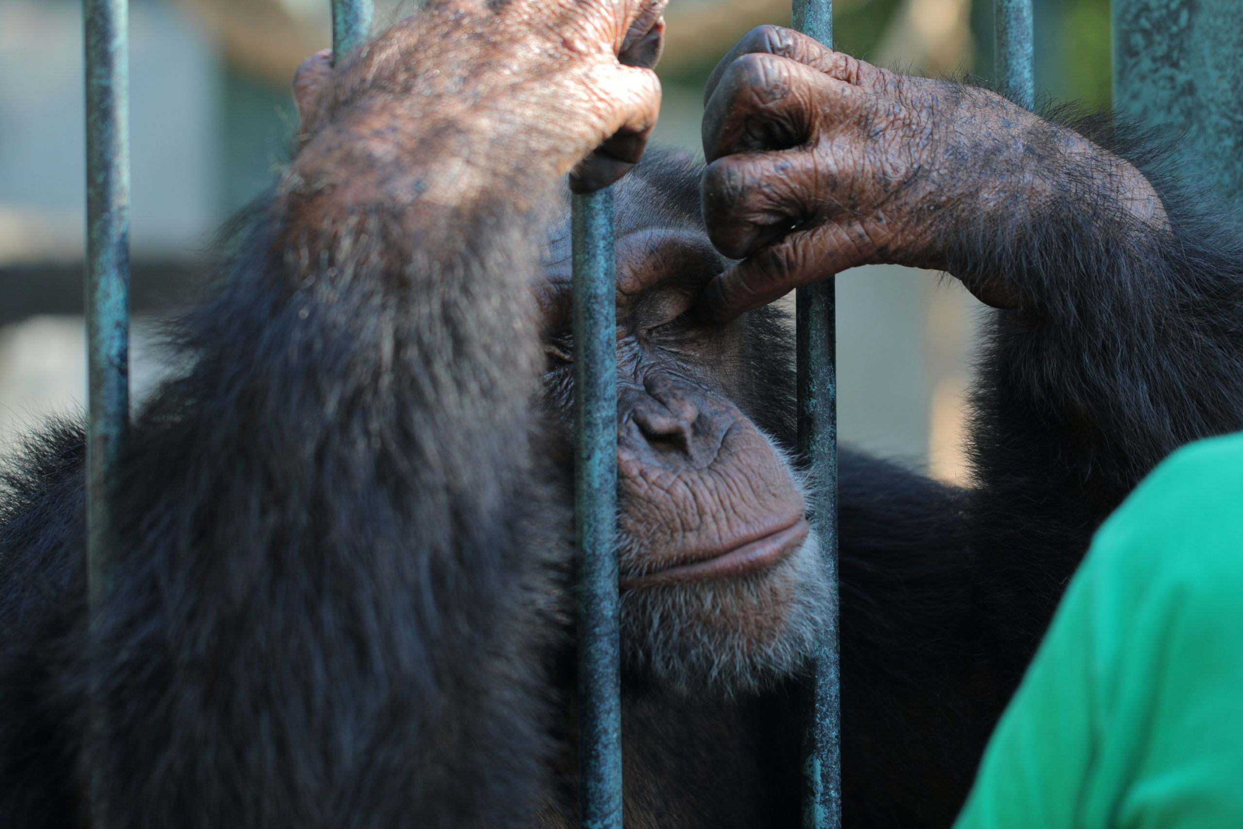 Крым 2018 г. Улица, люди, жизнь…