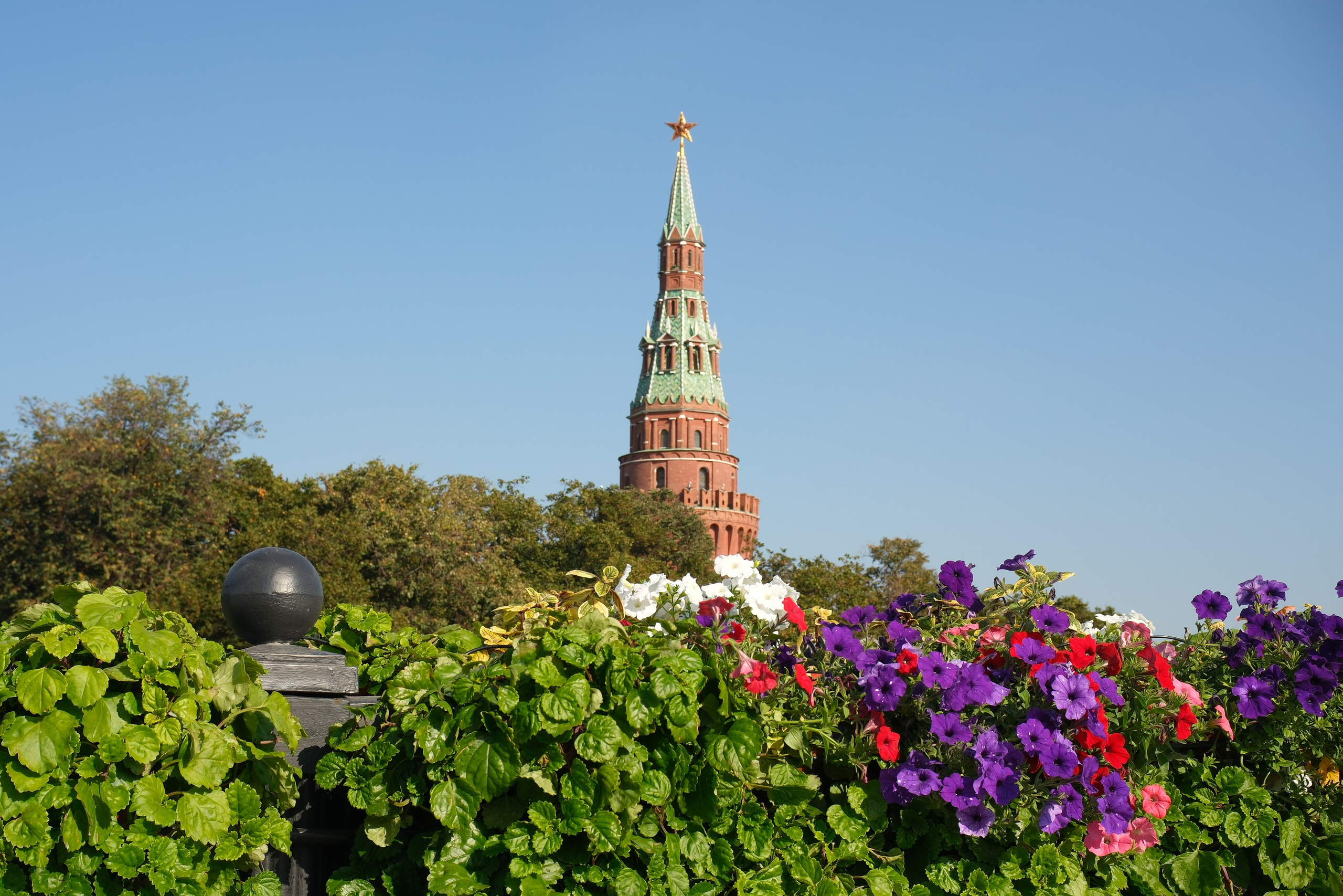 День города 2024. Улица, люди, жизнь…