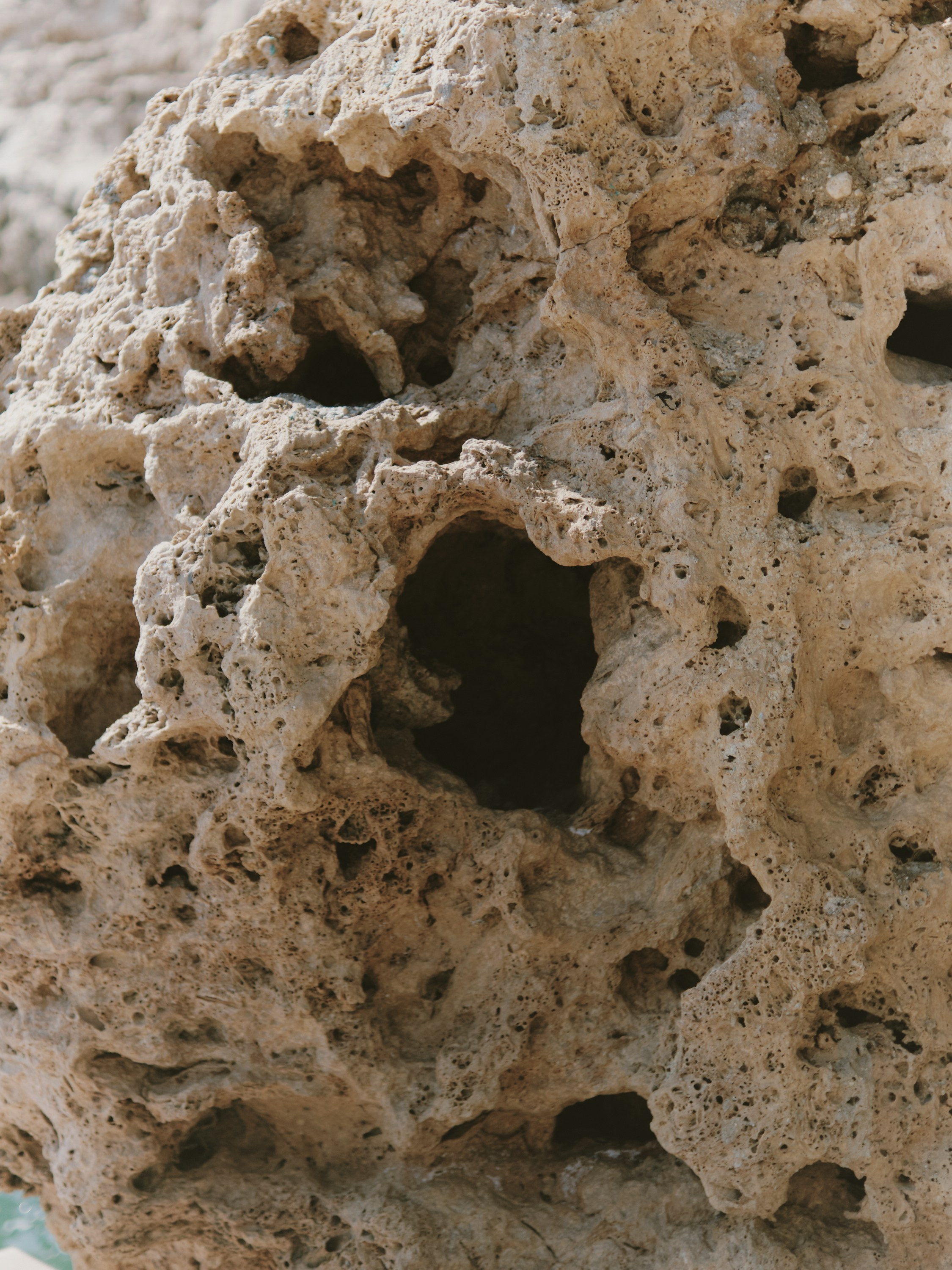 Turkey Street Lookbook / Conincon Production. DISEMICHASNOVA