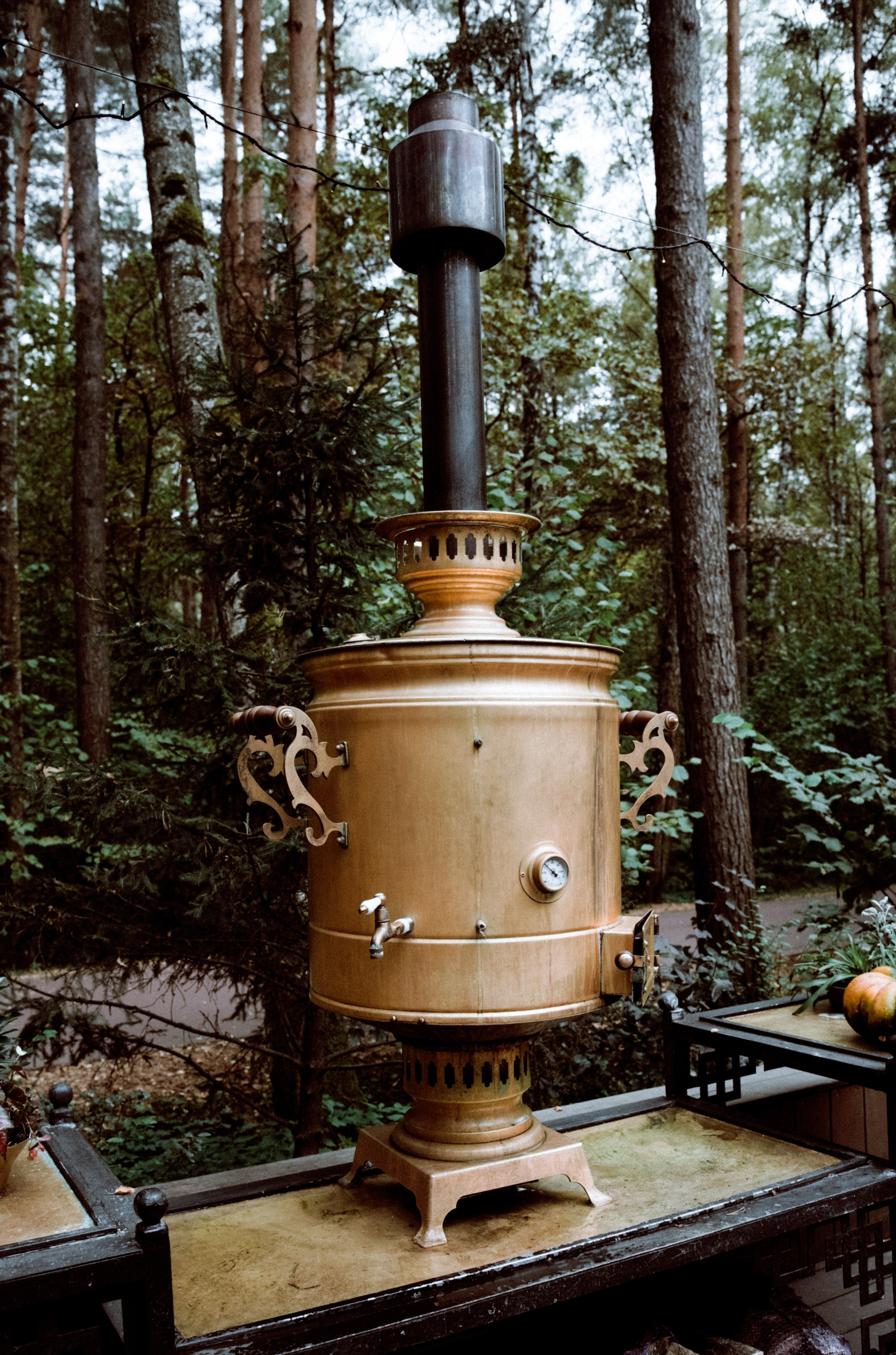 Осень 2025. Фотограф из Москвы — DASHA NOVA | Авторская фотография в разных жанрах