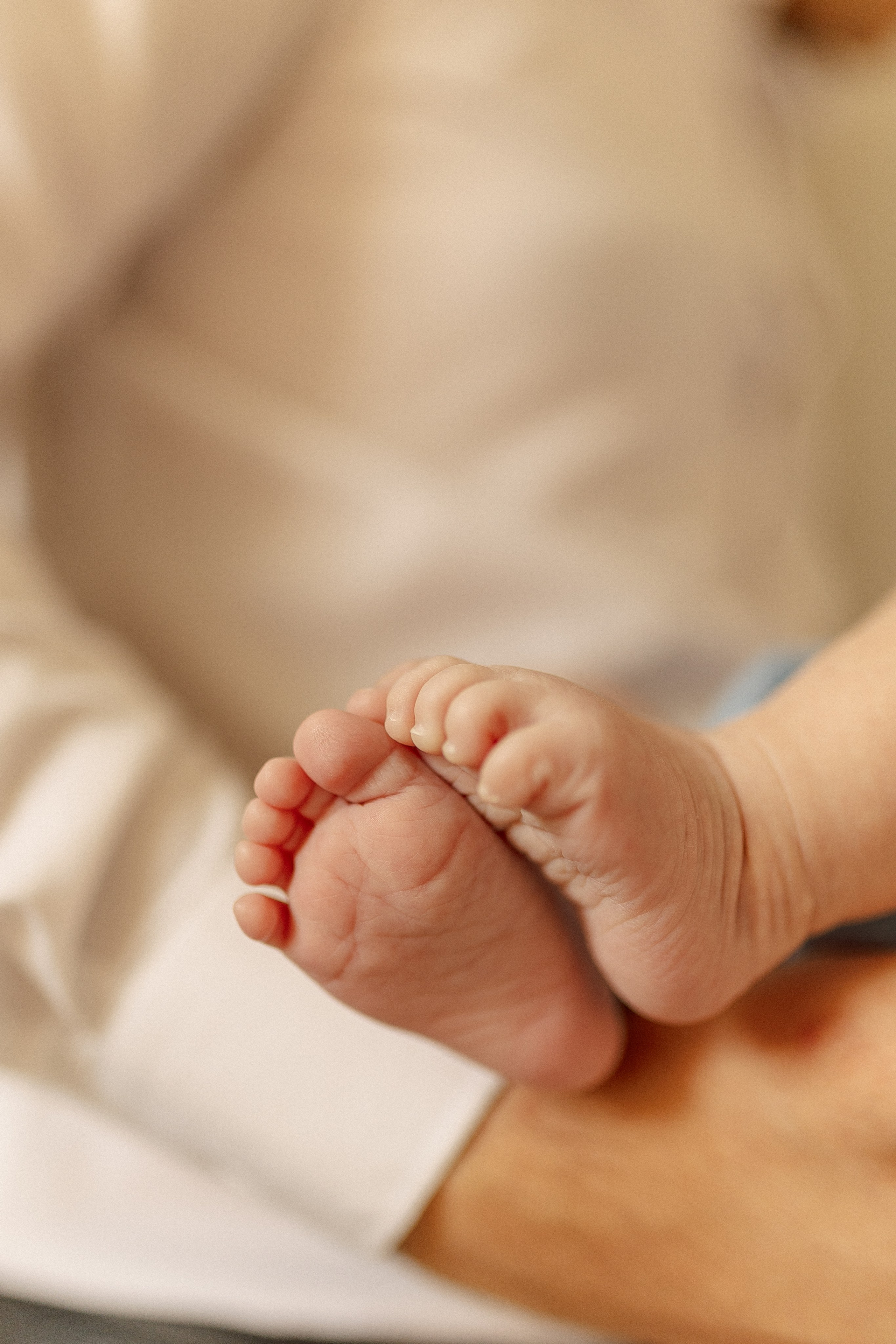 Андреевский монастырь. Семейный фотограф в Москве Анна Пожарская