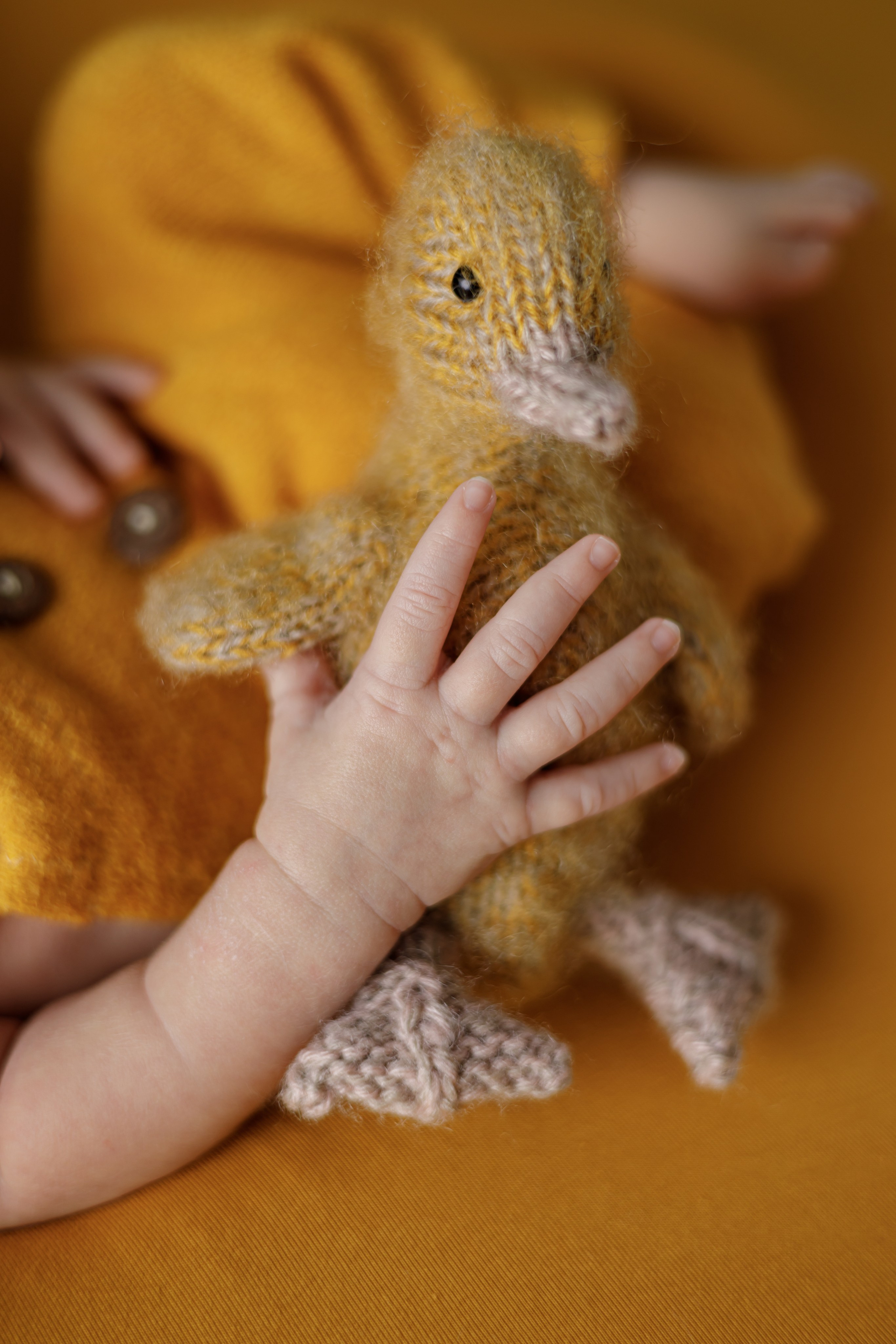 Умар. Евгения Горбунова фотограф новорожденных в Новом Уренгое