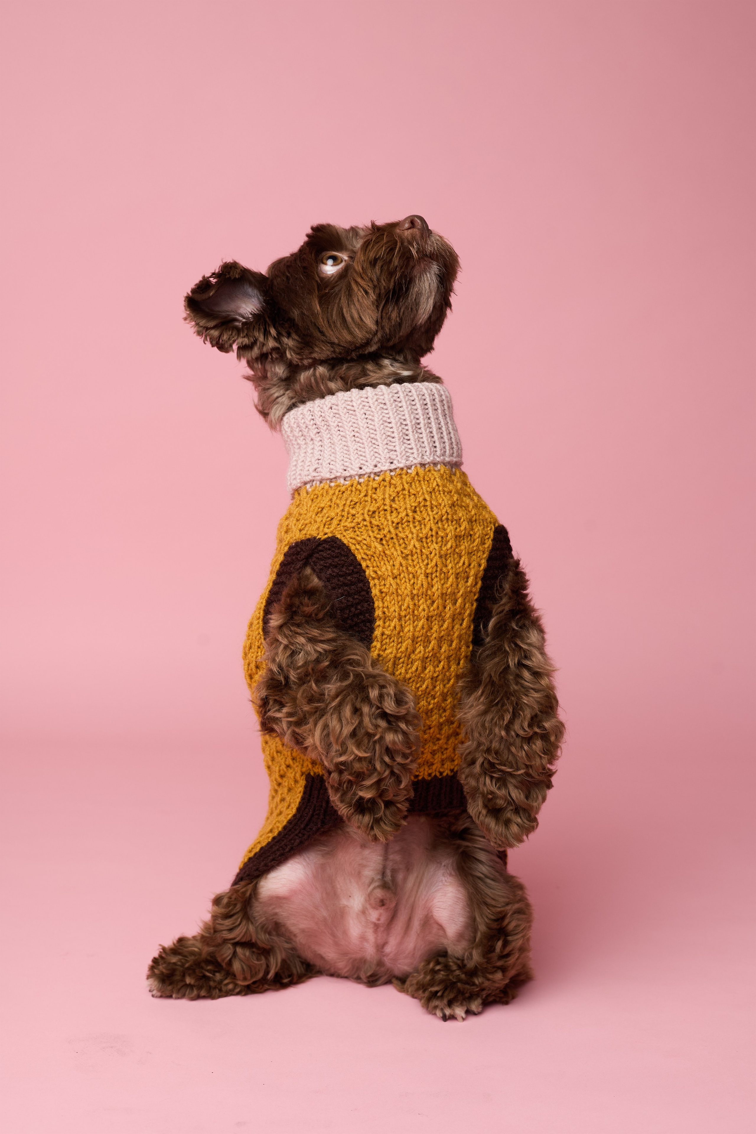 FOSY. Фотограф|Москва-СПб| Анастасия Рябинина