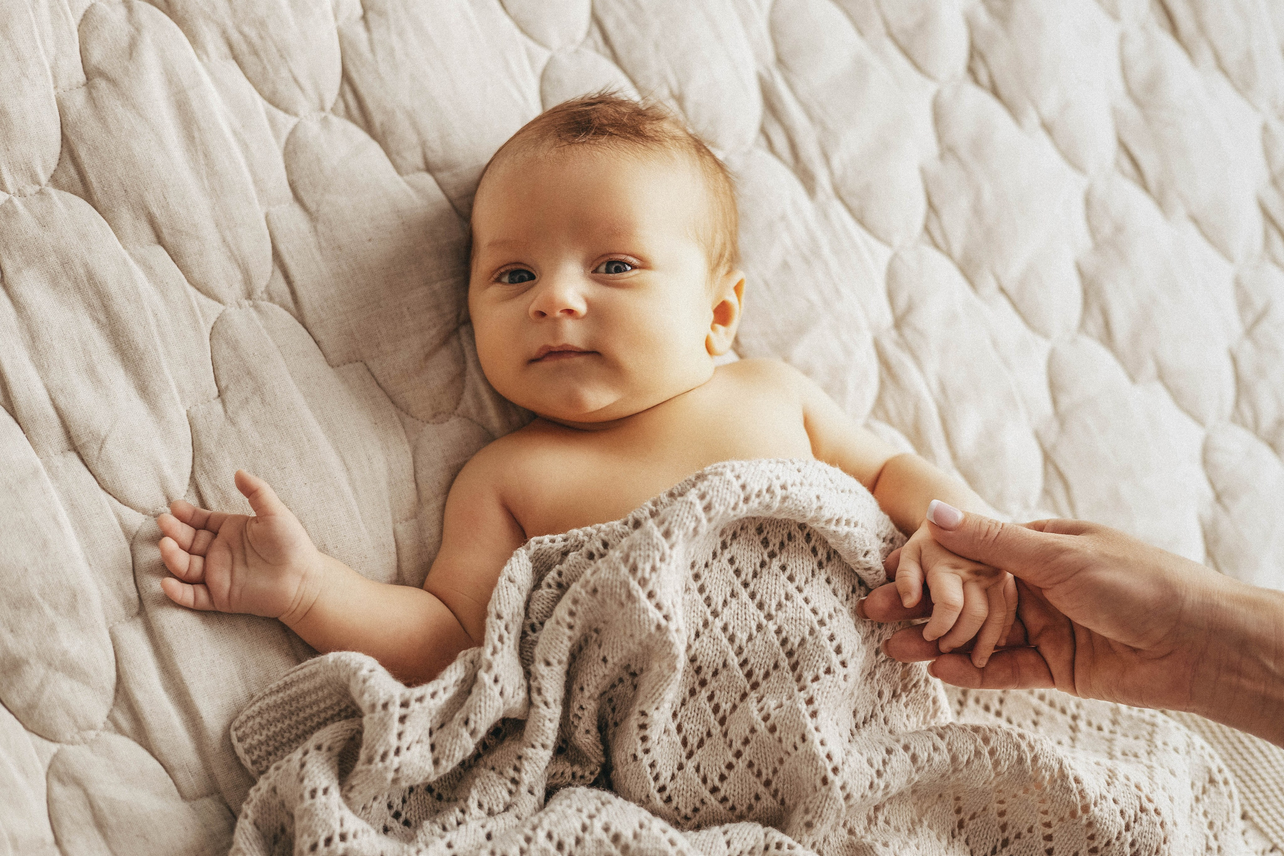 Лев. Фотограф новорожденных в Санкт-Петербурге Екатерина Иванова