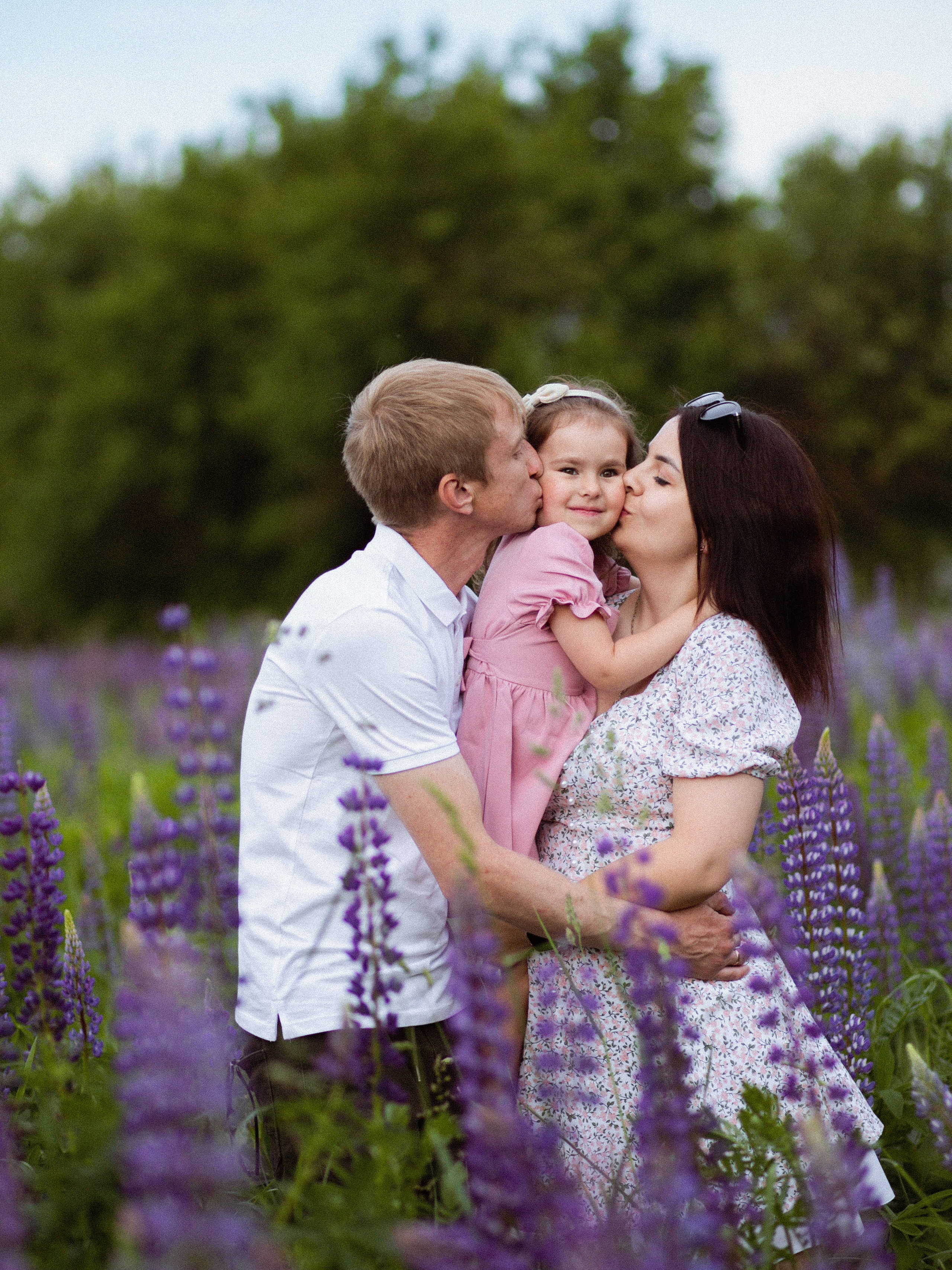 Июньские люпины. Фотограф в Москве/Санкт-Петербурге