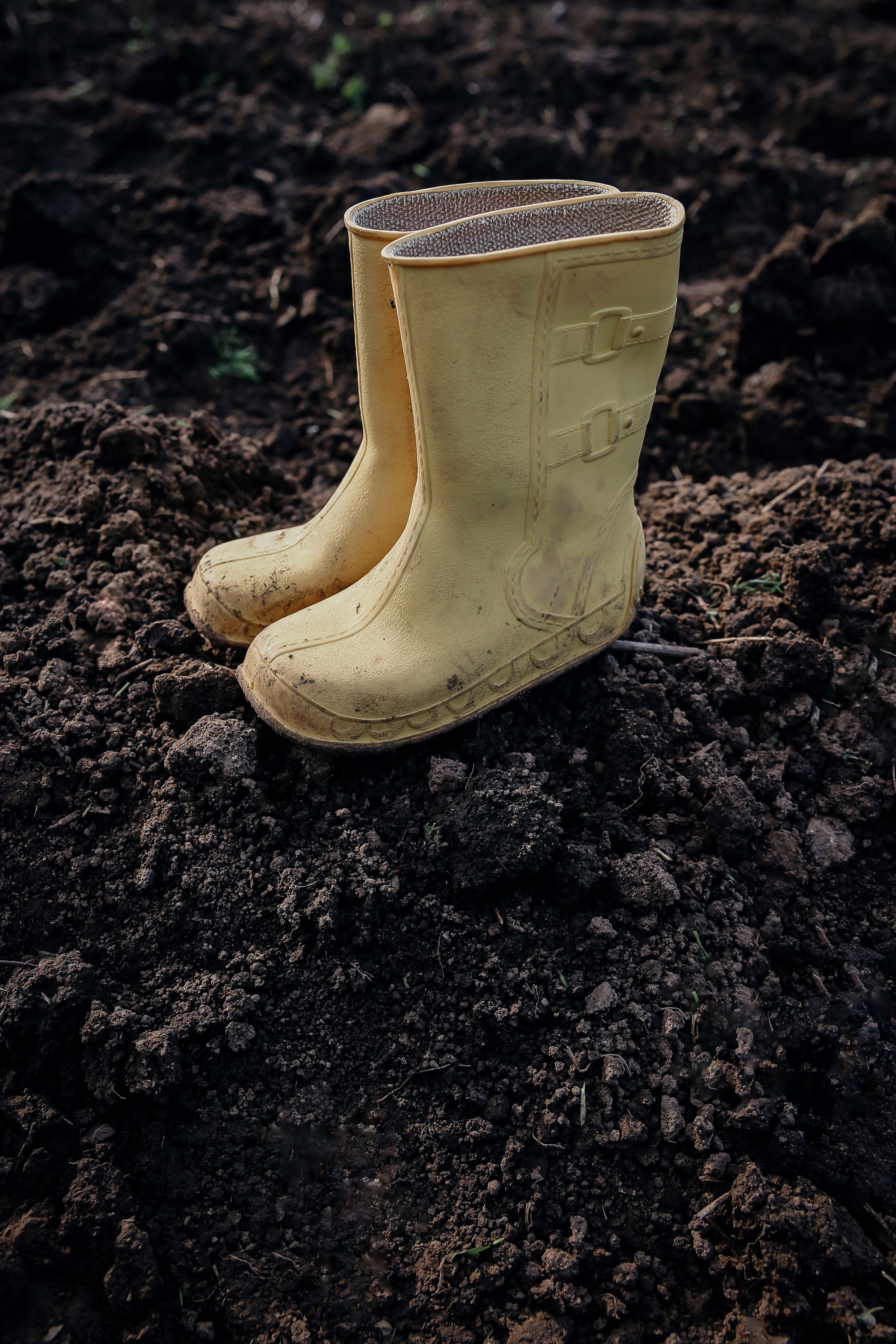 Дачные истории. Фотограф в Серпухове и Тарусе Ксения Царёва