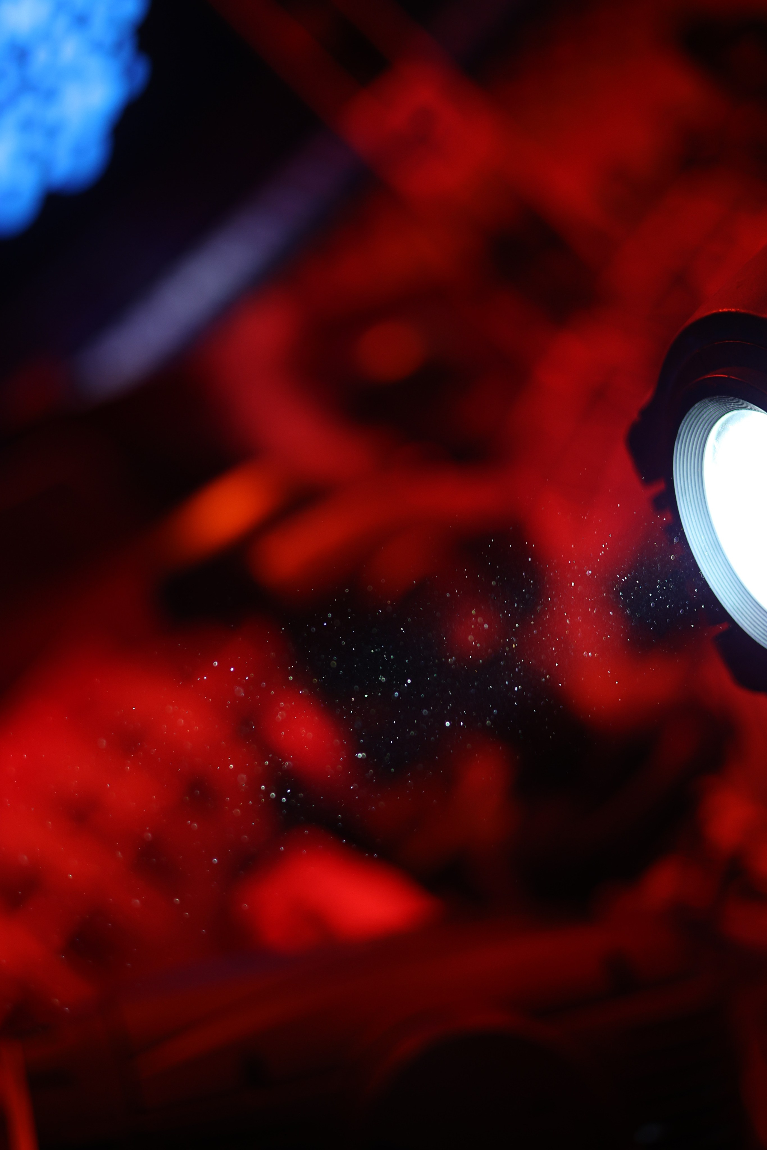 сьемка мероприятий в краснодаре