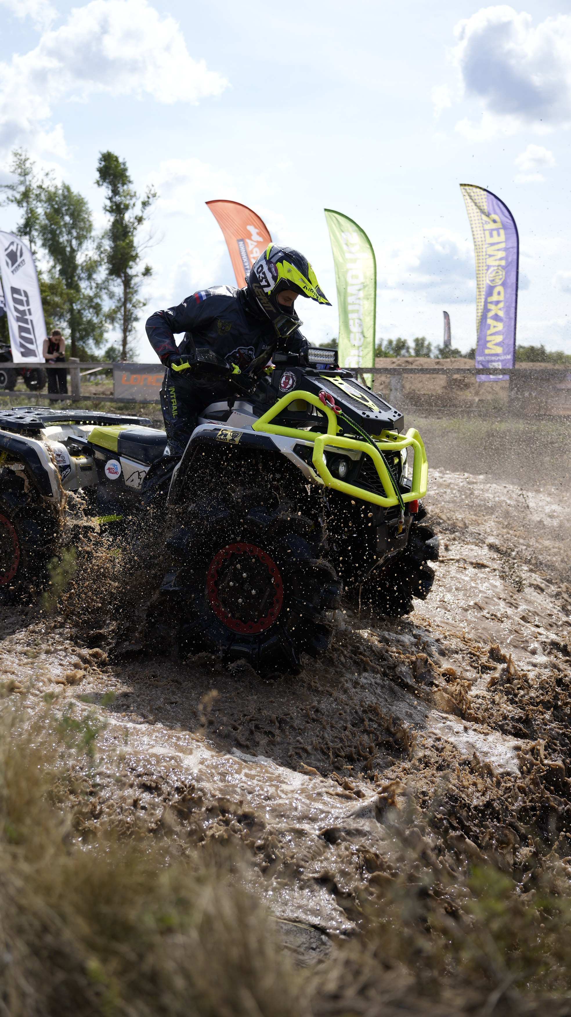 Asset. Георгий Новиков