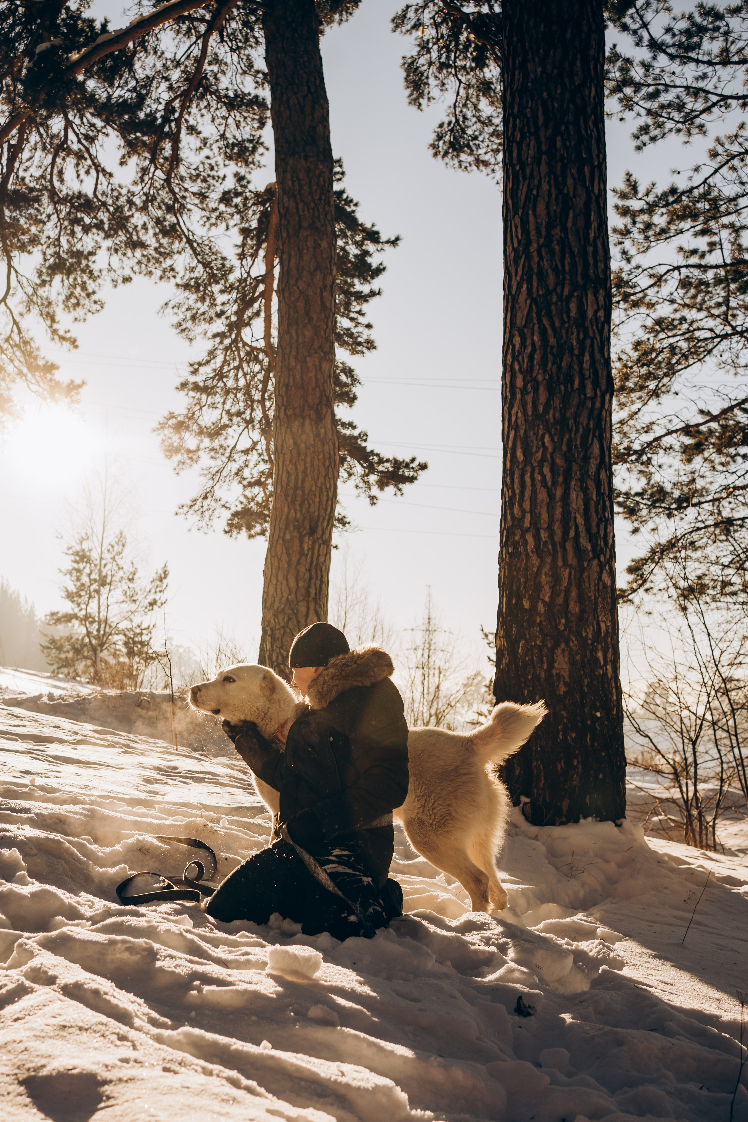 Г. Миасс 2023-2024. Фотограф-анималист Анастасия Большакова