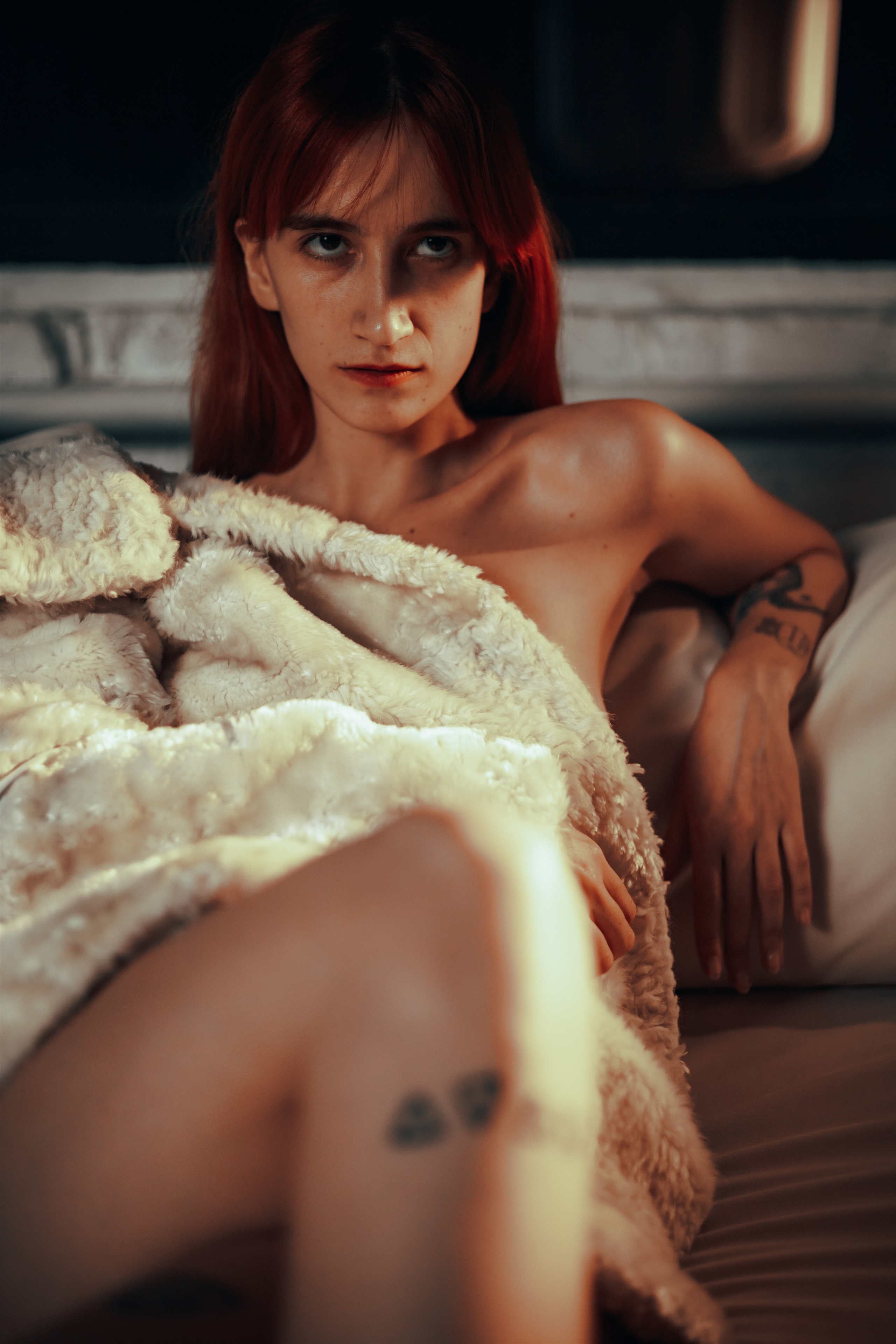 Лая. Gorbunova Alina Фотограф