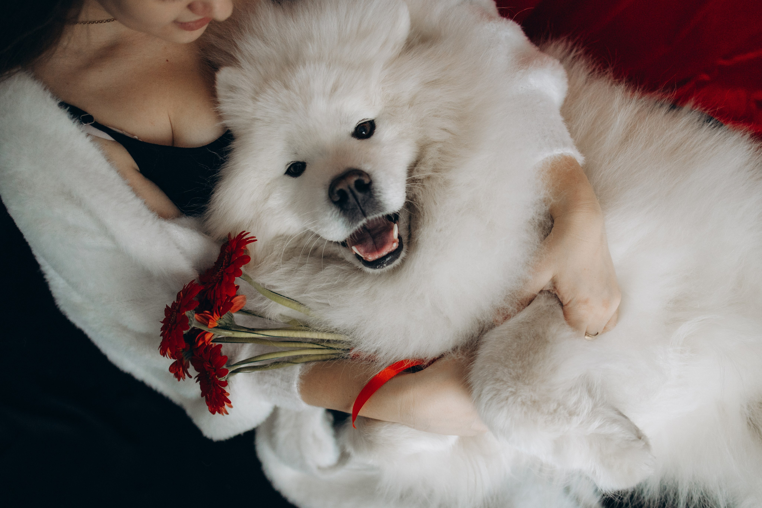 Настя и Кристофер. Фотограф — Анималист | Санкт-Петербург