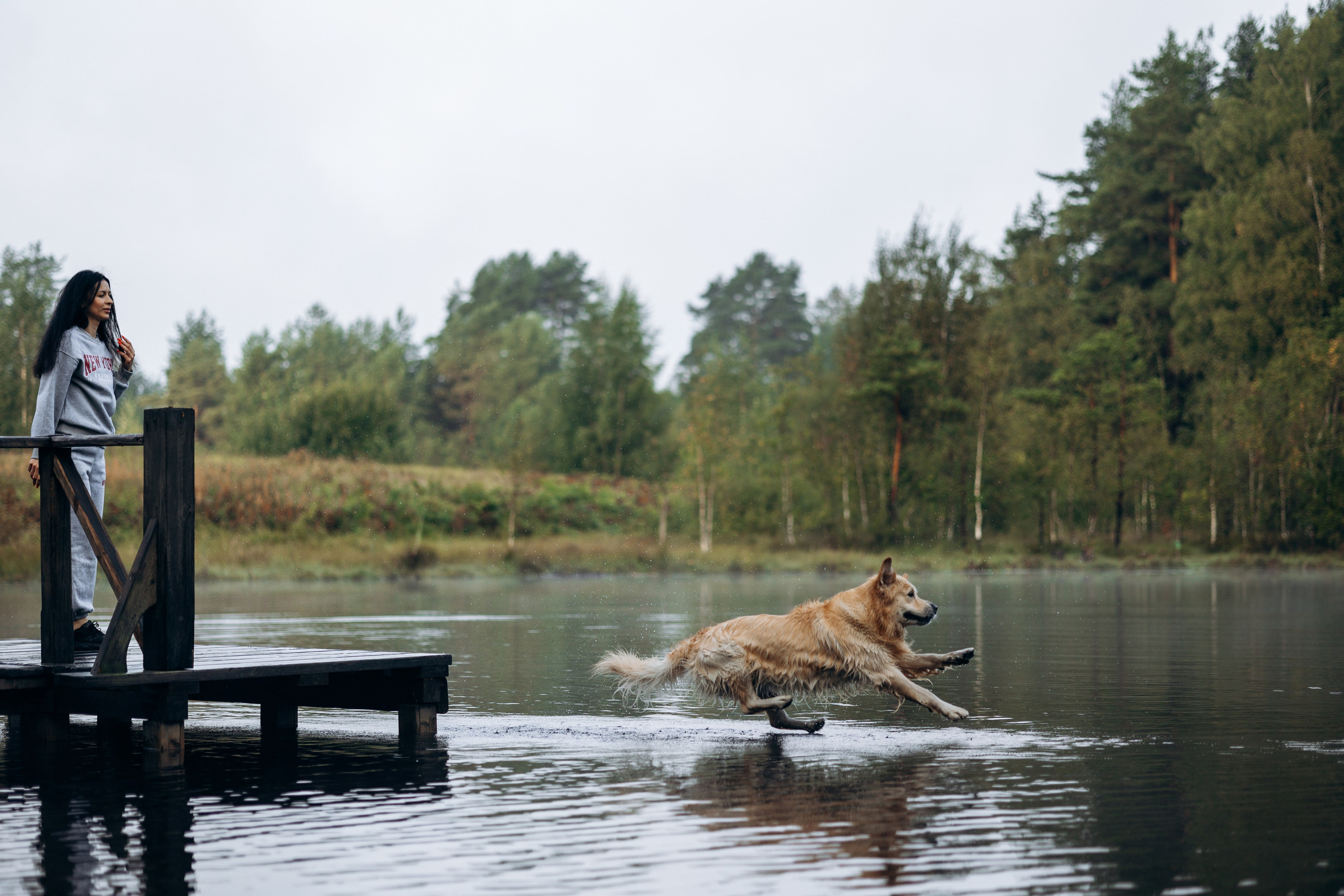 Лёва и его семья. Фотограф — Анималист | Санкт-Петербург