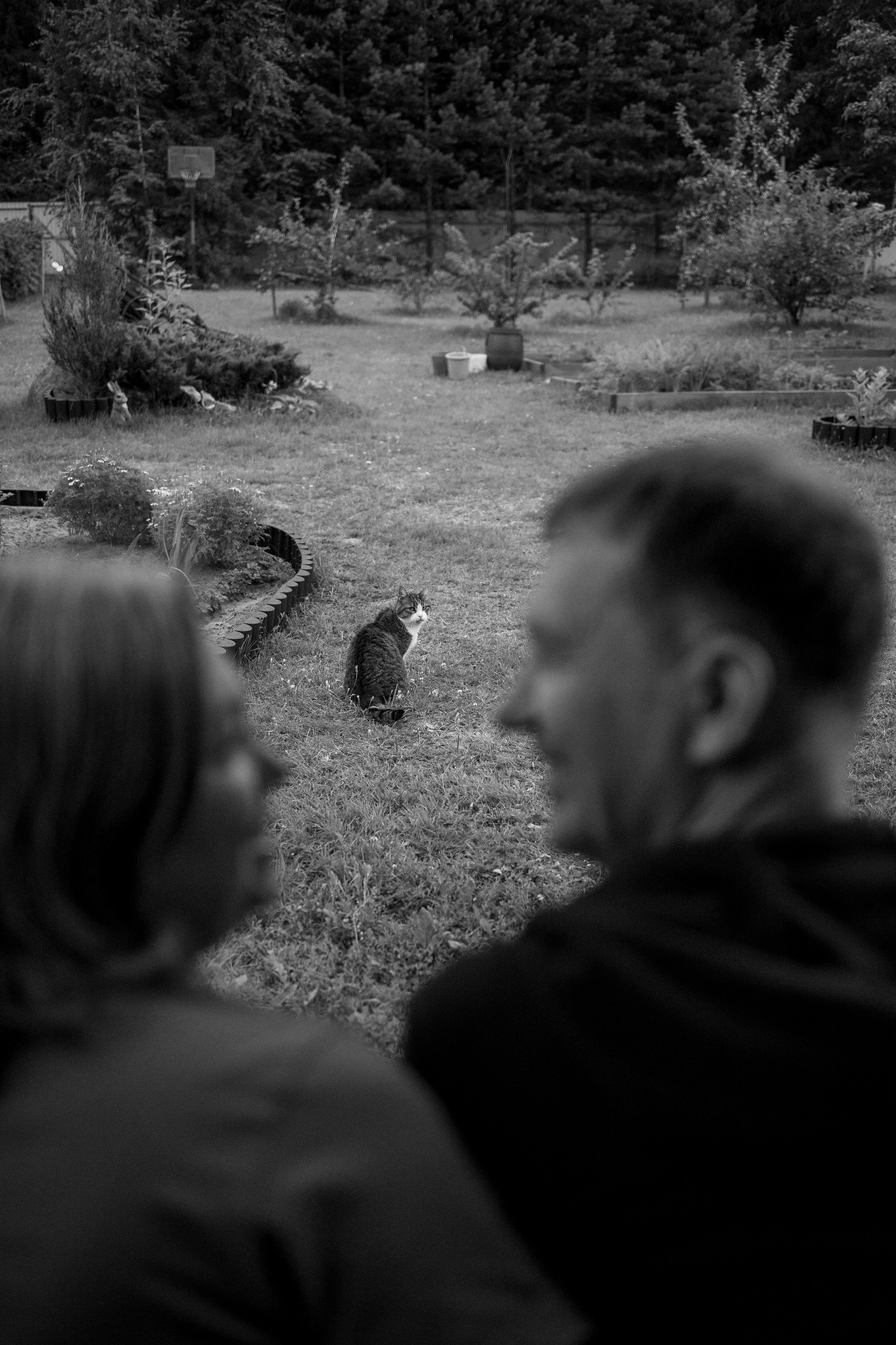 Дом у реки. Фотограф — Анималист | Санкт-Петербург