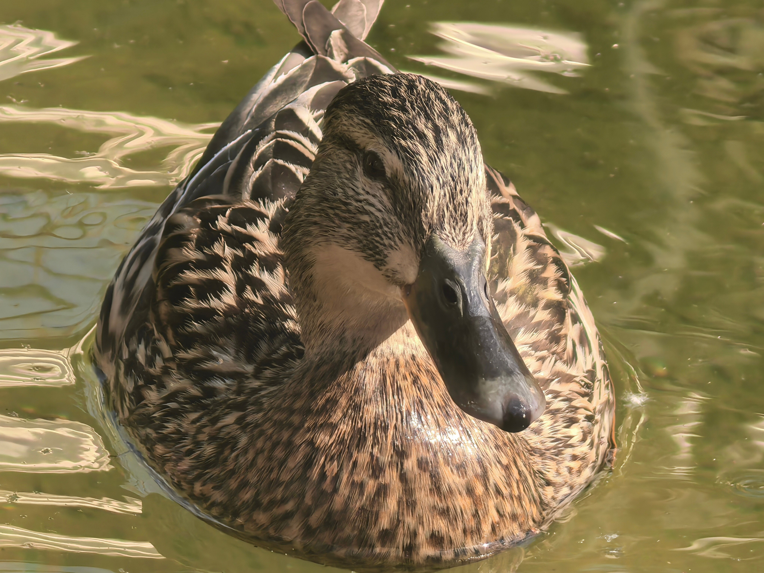 Чудесная природа. Школьные выпускные альбомы в Москве Марина Николаева