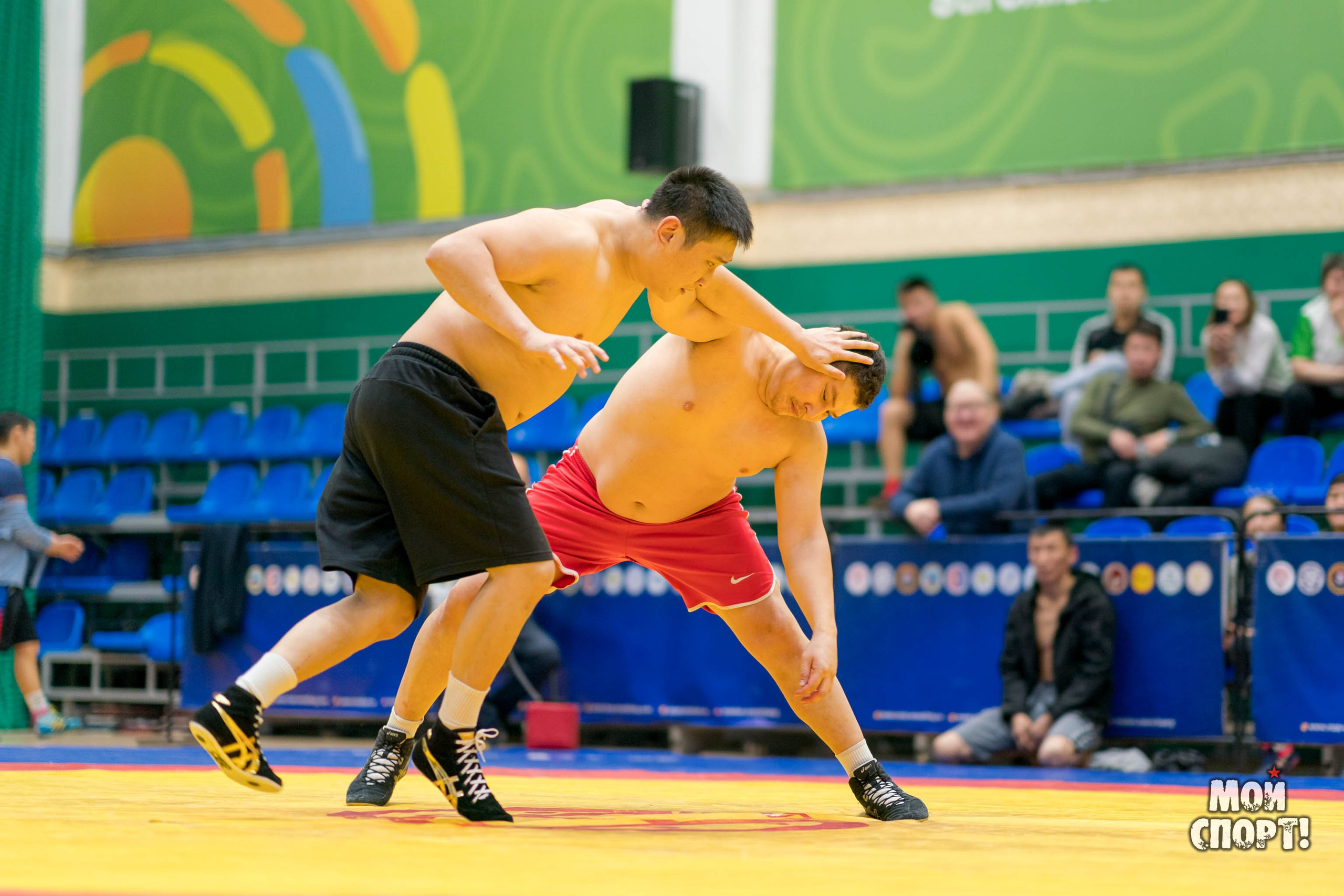 «Кубок ресурсоснабжающих организаций и Союза товаропроизводителей». Студия «Мой Спорт!» — все о спорте в Якутии