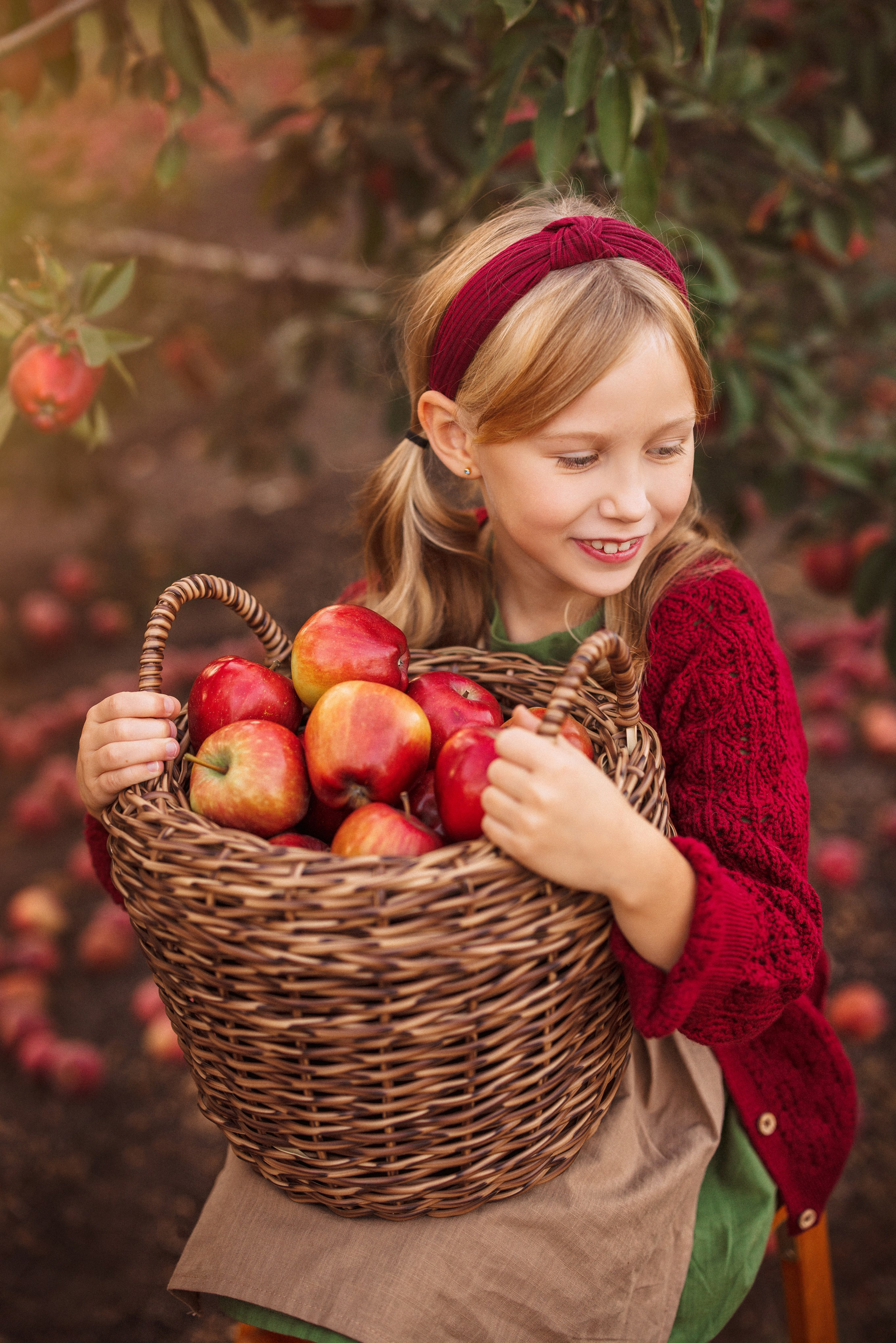 Сбор урожая Яблок. Семейный и детский фотограф в Краснодаре Анна Трашкова