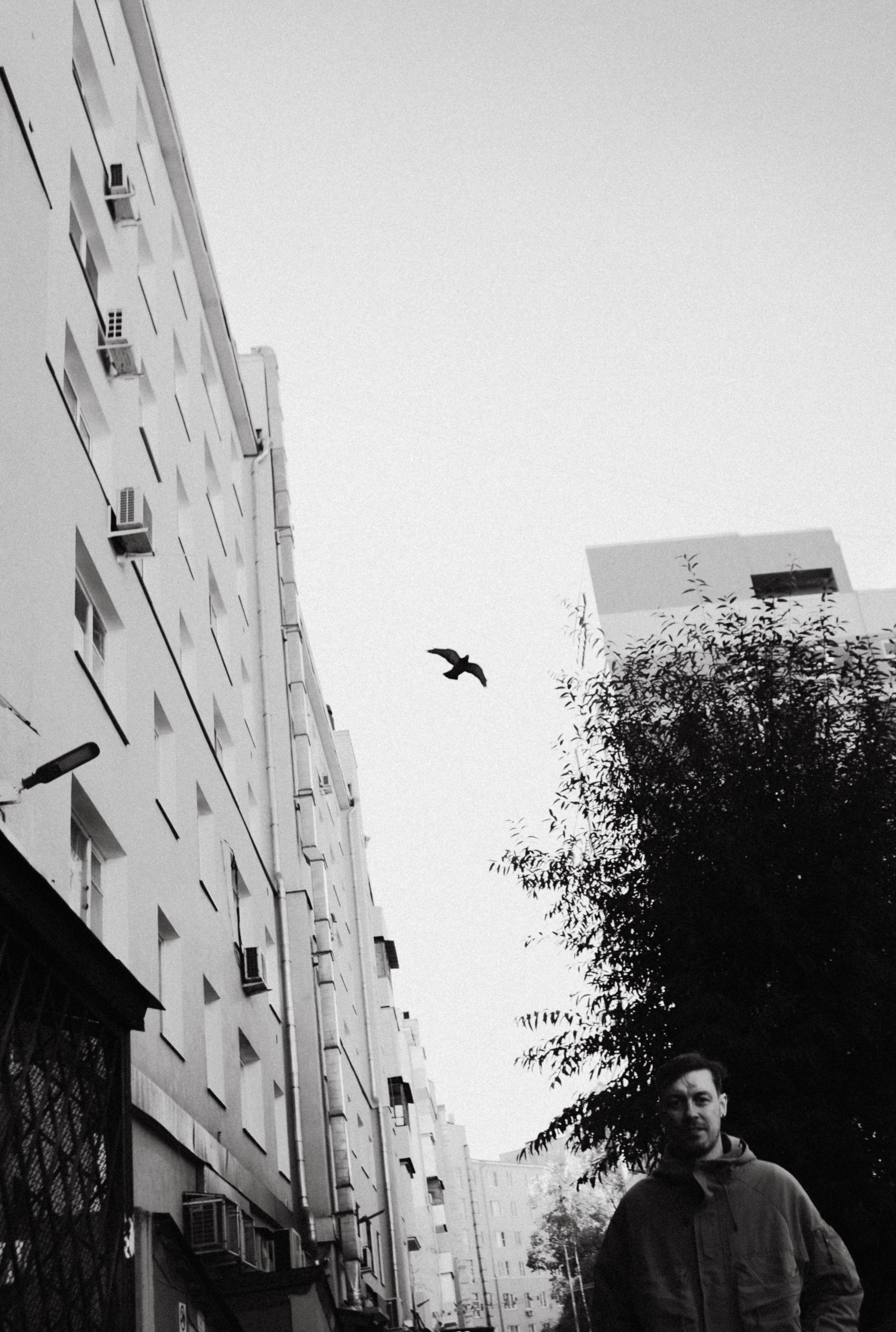 Миша. Матвей. Эмми. Фотограф в Нижнем Новгороде