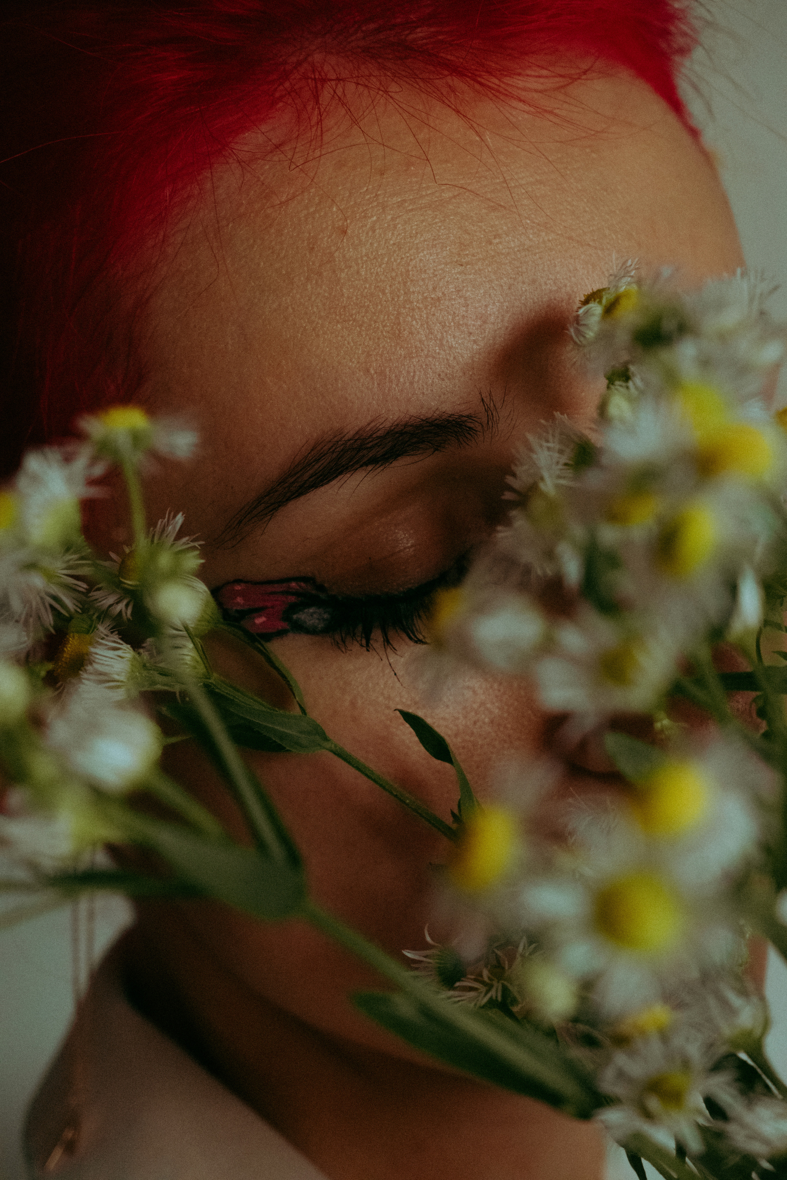 Цветут цветы. Фотограф Валуйки, Белгородская область. Коробова Юля