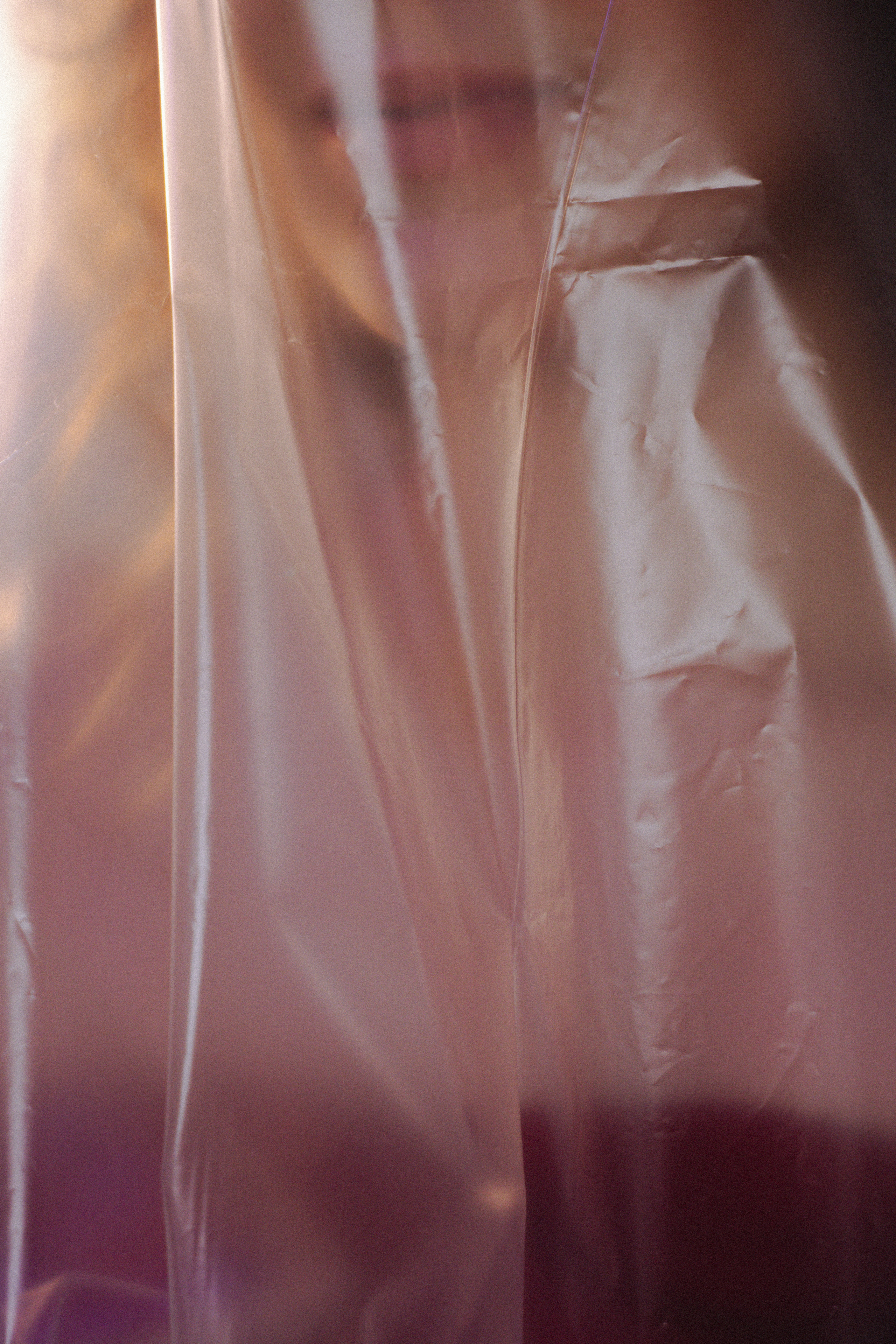 Кудряшка Сью. Фотограф Валуйки, Белгородская область. Коробова Юля