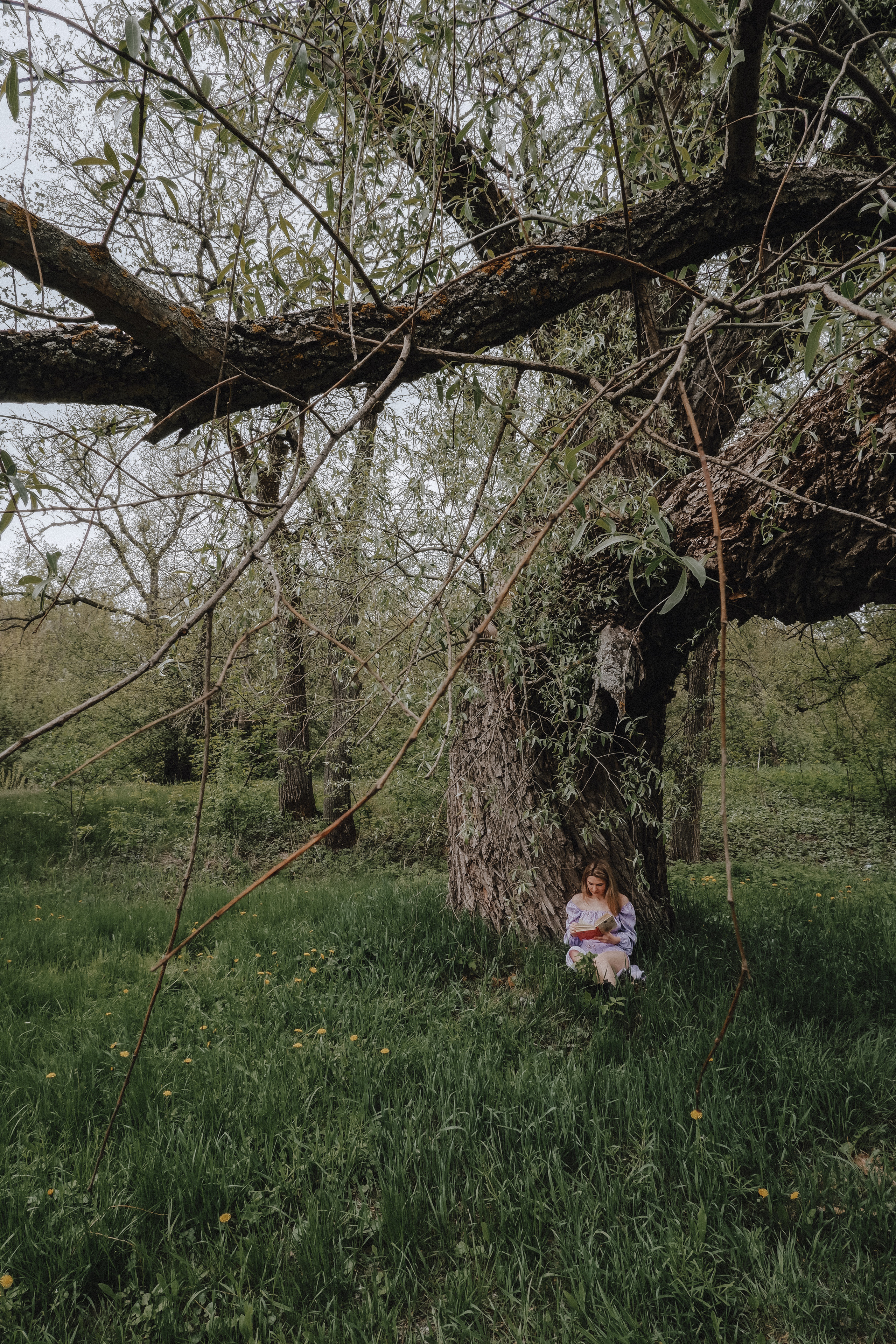 Я приду когда. Фотограф Валуйки, Белгородская область. Коробова Юля