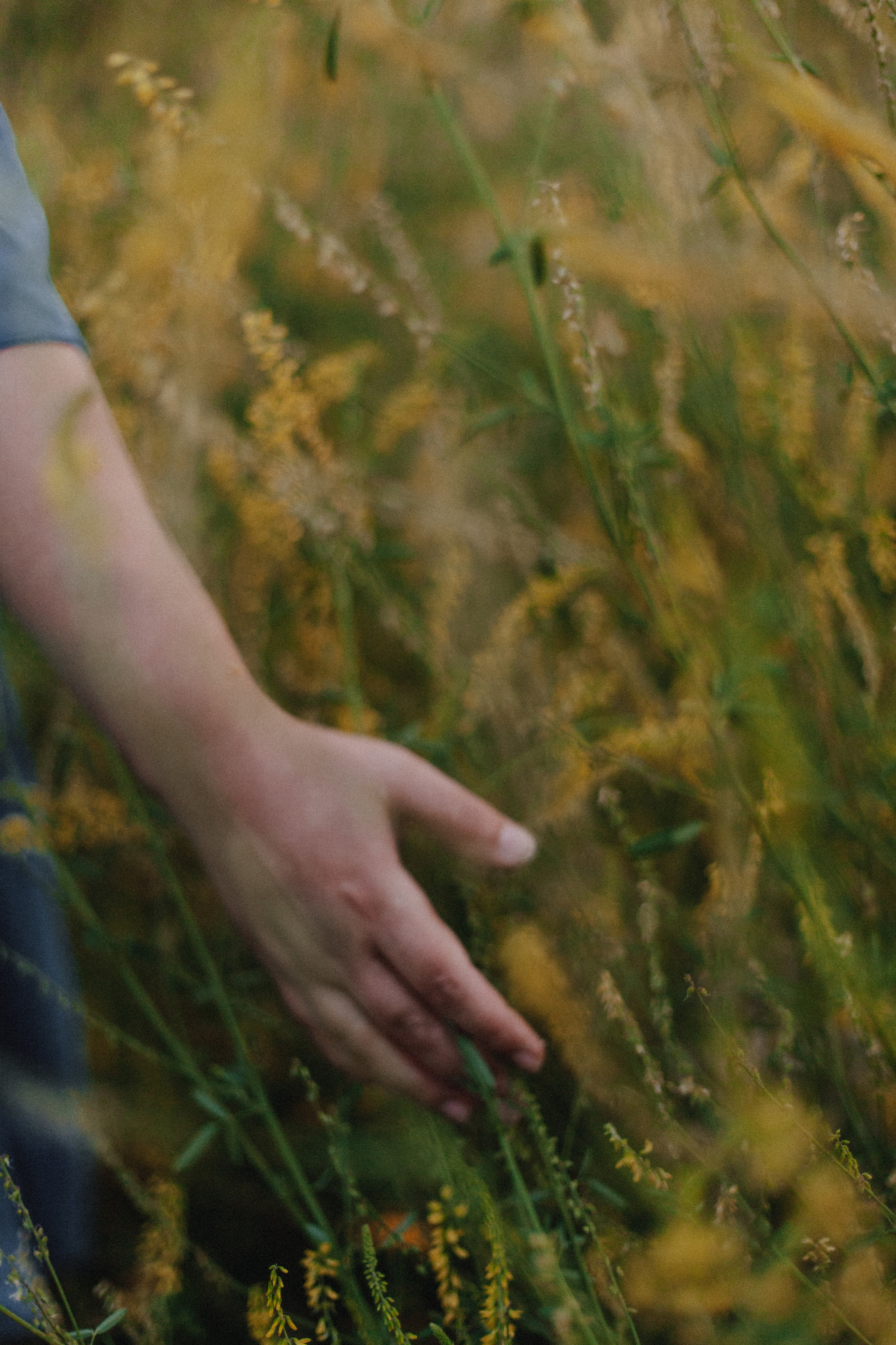Я все смягчу женским. Фотограф Валуйки, Белгородская область. Коробова Юля