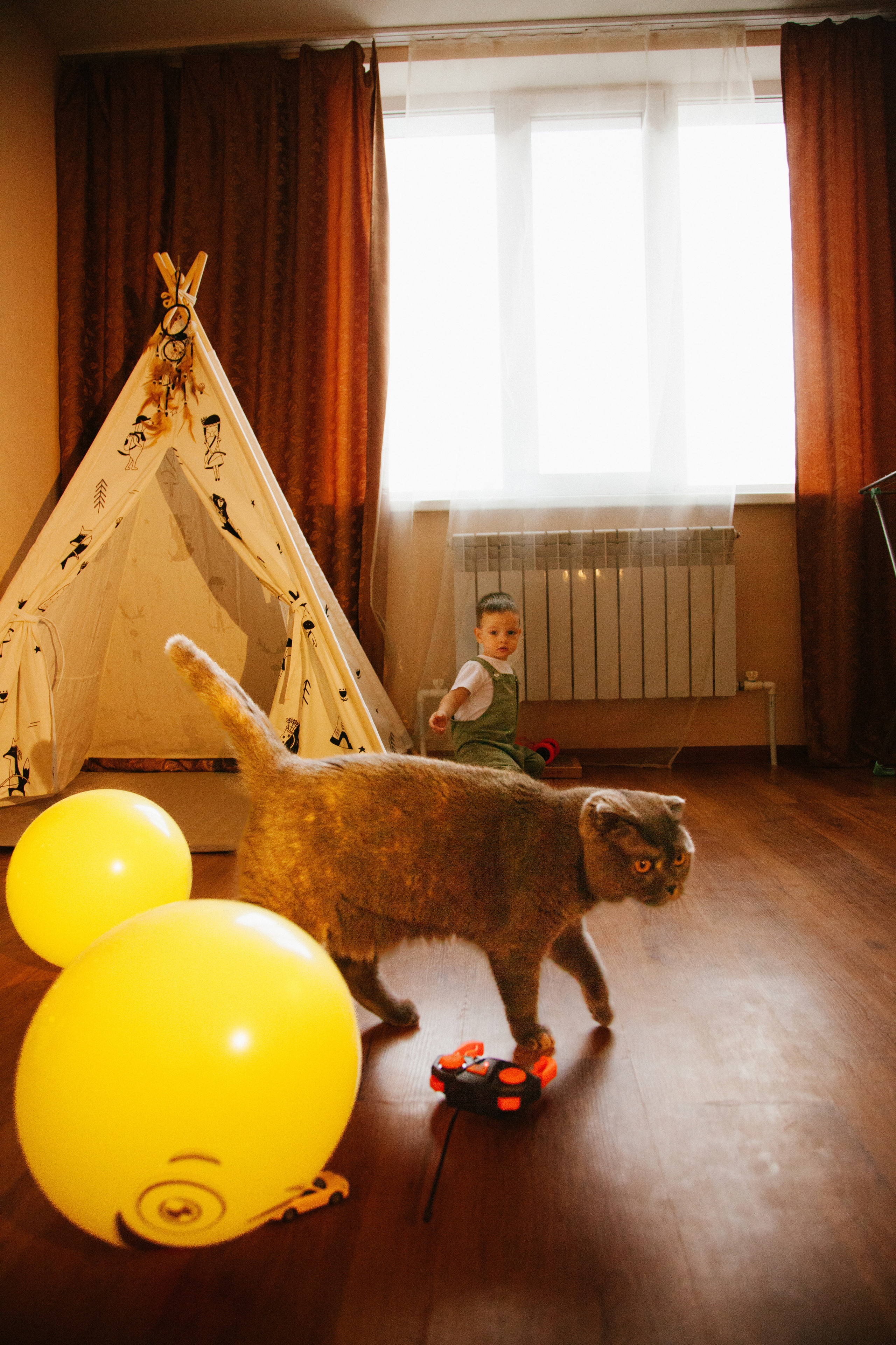 Малыш растет. Фотограф Валуйки, Белгородская область. Коробова Юля