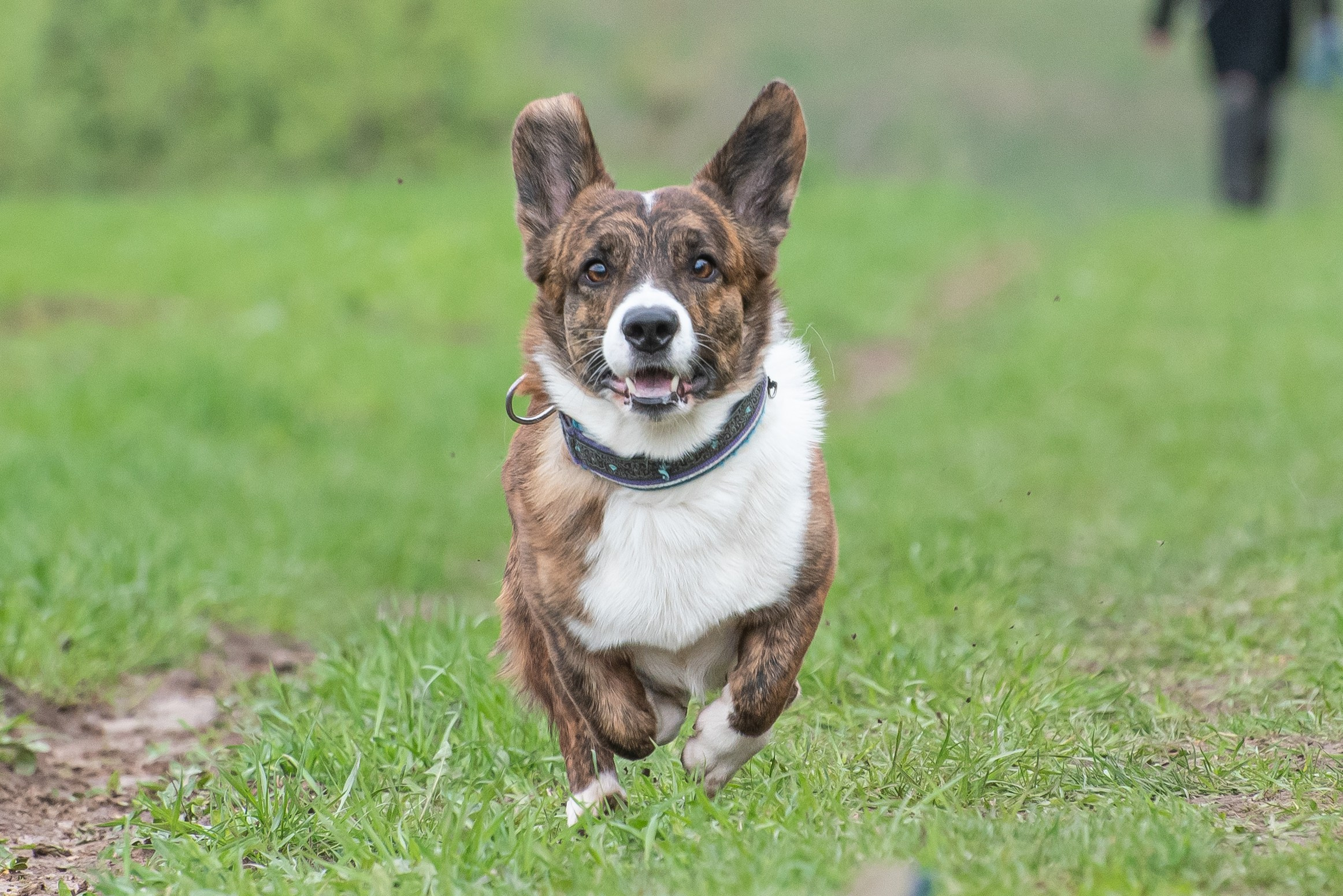Фотографии с Курсинга. Фотограф Макс Огурцов в Нижнем Новгороде