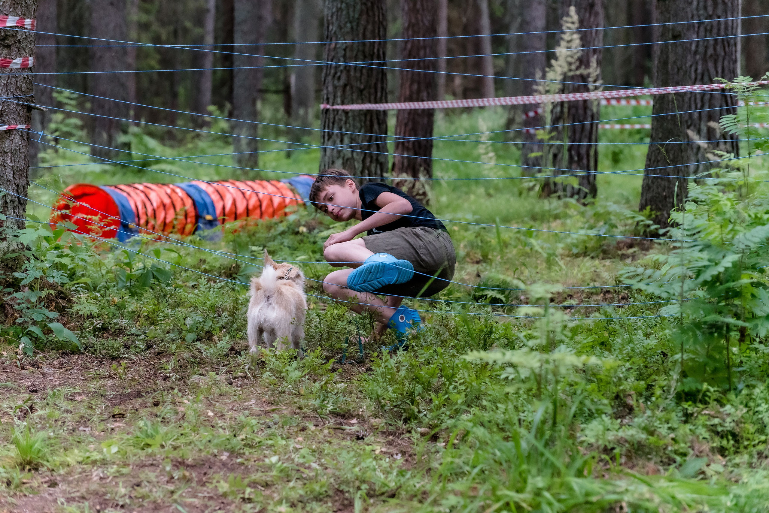 Хвостатые каникулы Детский кинологический лагерь. Фотограф Макс Огурцов в Нижнем Новгороде