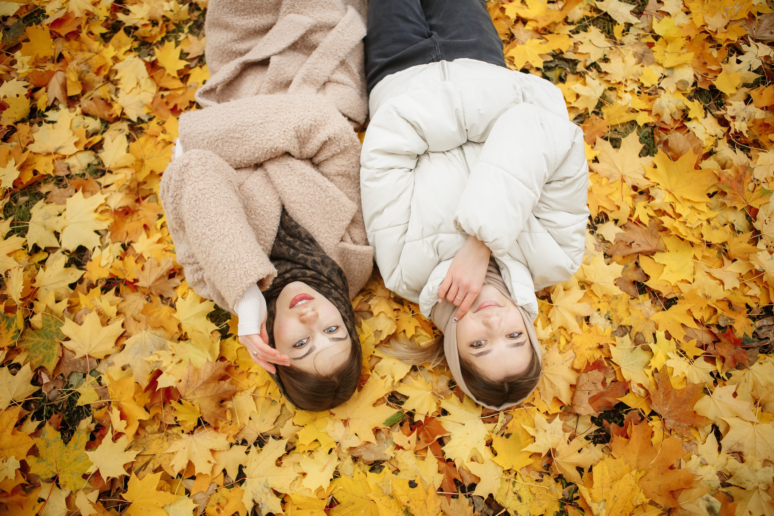 Осень Гимназия 12 11 В 2023 г. Свадебный и портретный Фотограф в Липецке Дмитрий Котюков