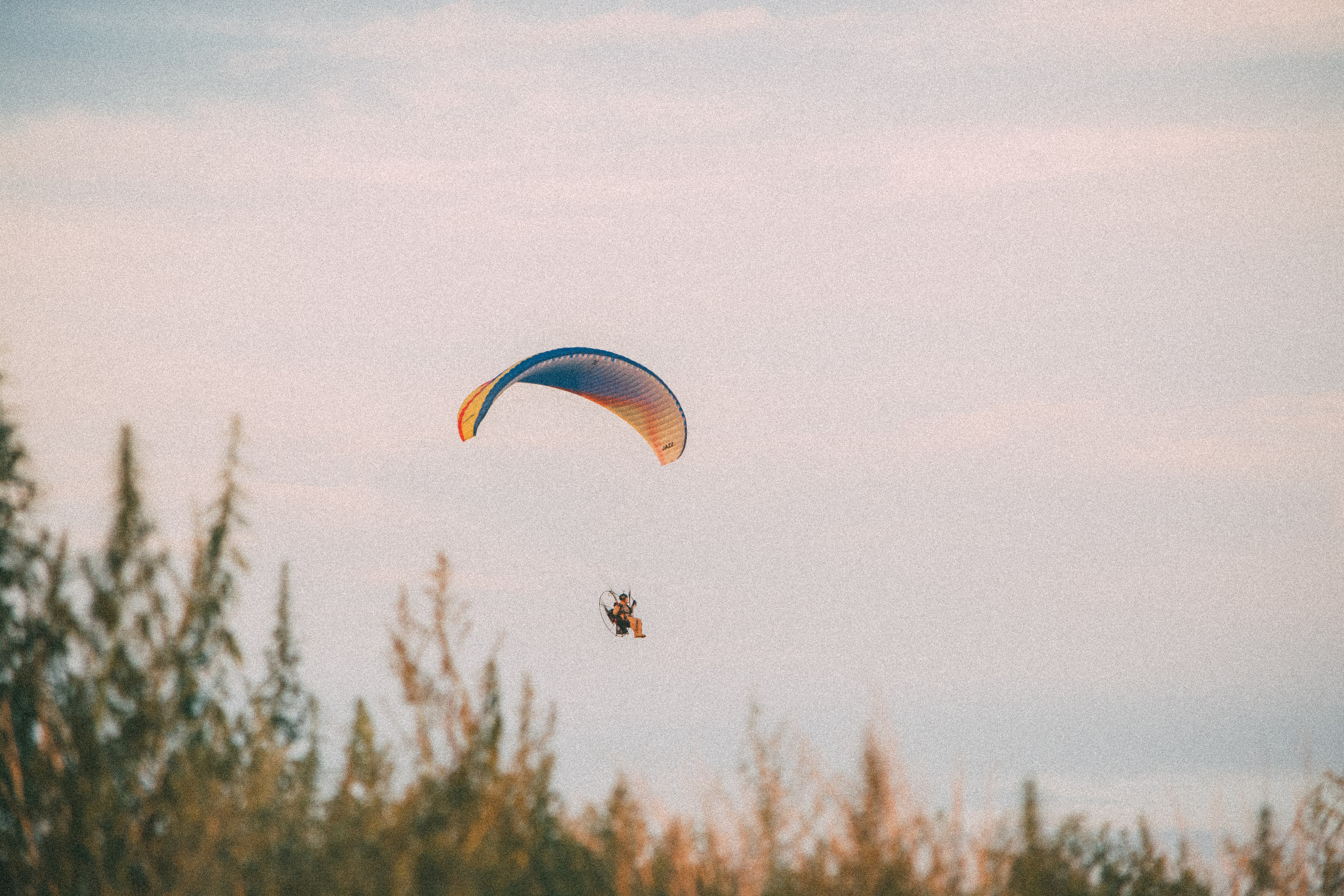 Отзывы. Денис Прохоров Фотограф в г. Магнитогорск
